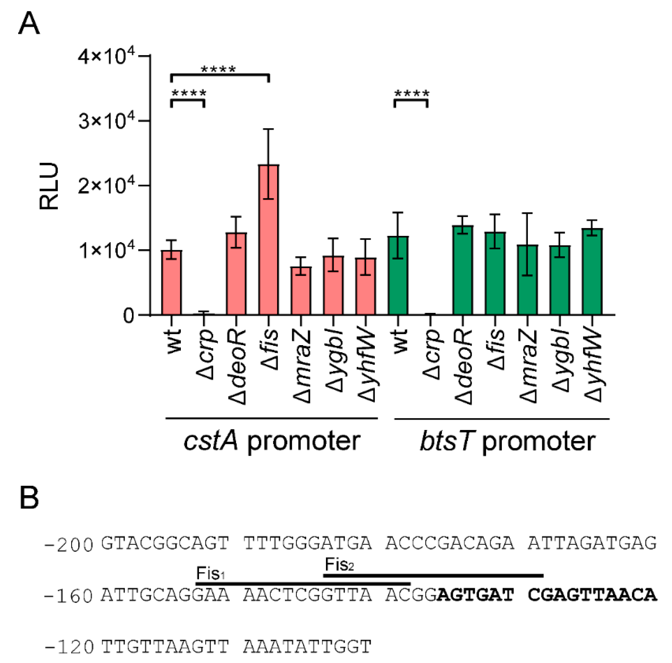 Ijms 21 09068 g005 Ijms 21 09068 g005