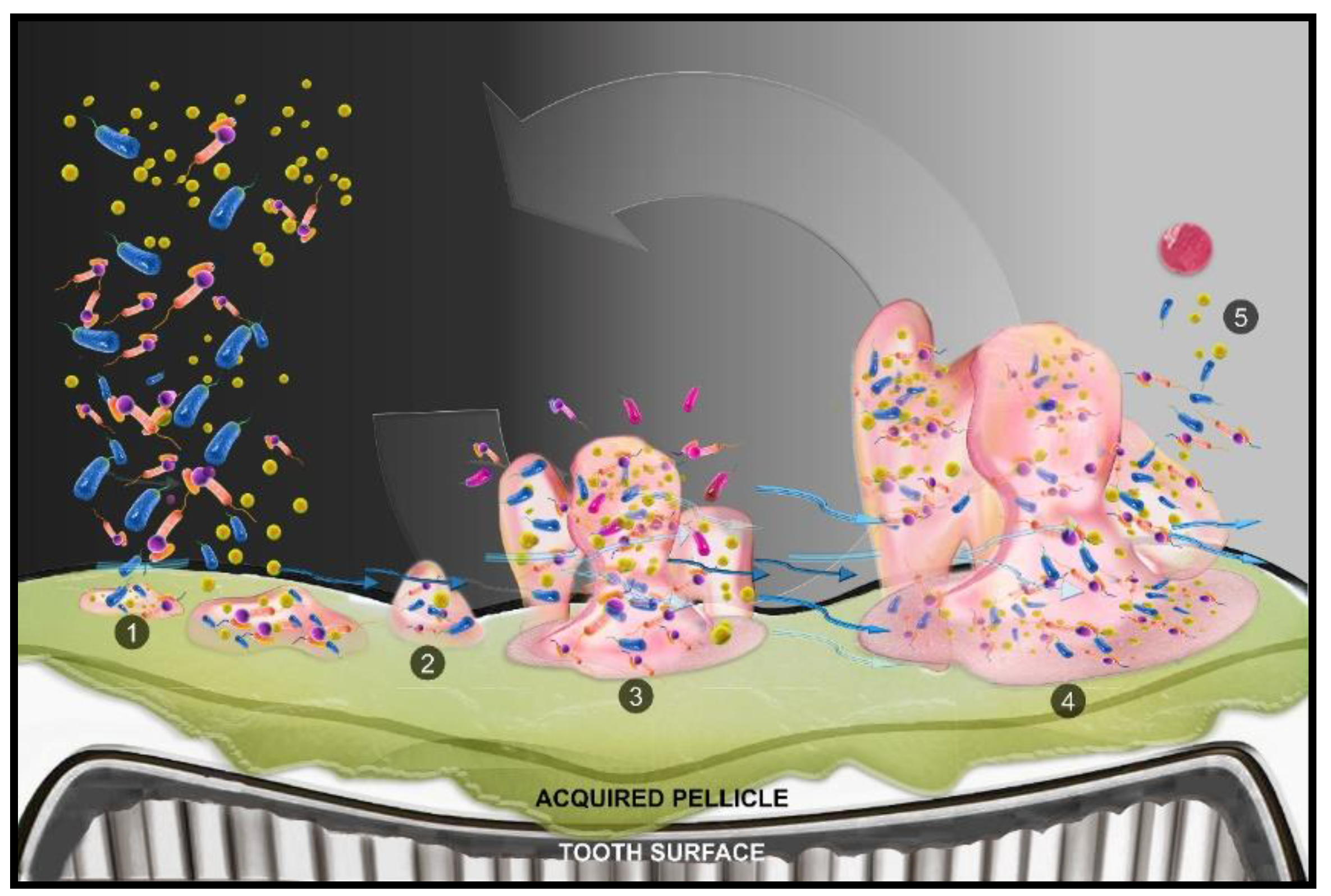 Ijms 21 09087 g002 Ijms 21 09087 g002