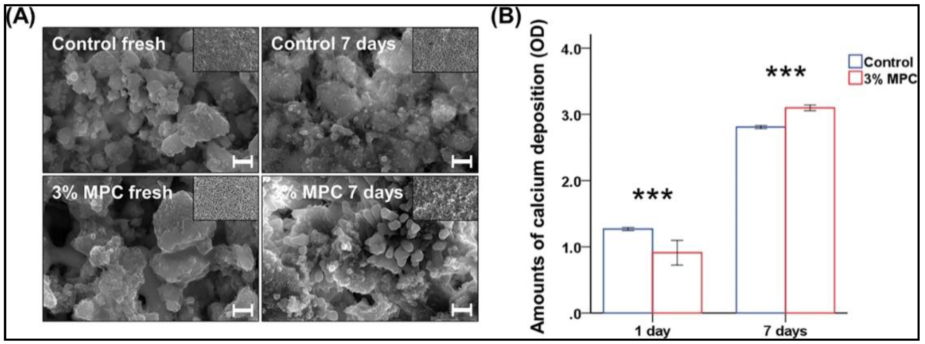 Ijms 21 09087 g008 Ijms 21 09087 g008