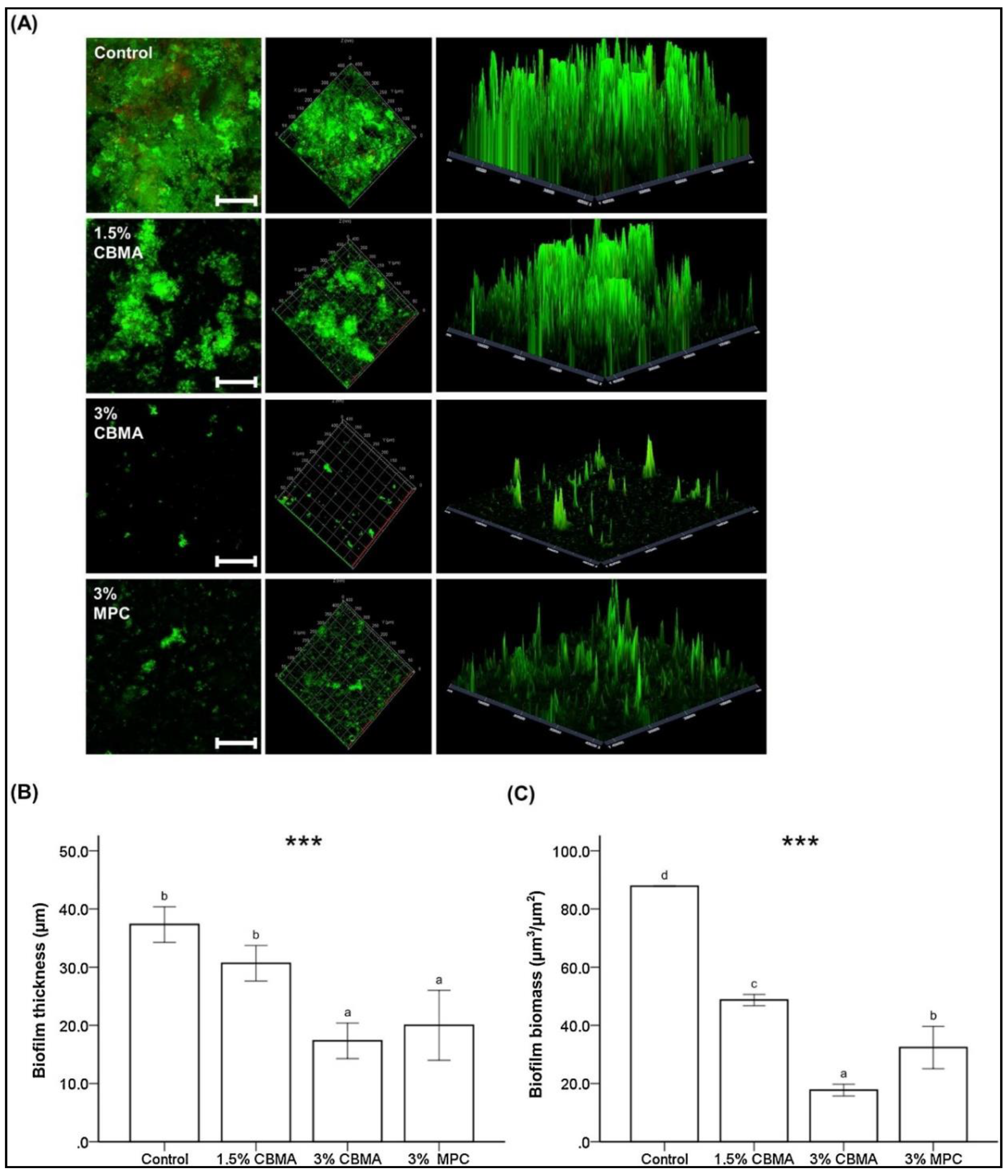 Ijms 21 09087 g009 Ijms 21 09087 g009
