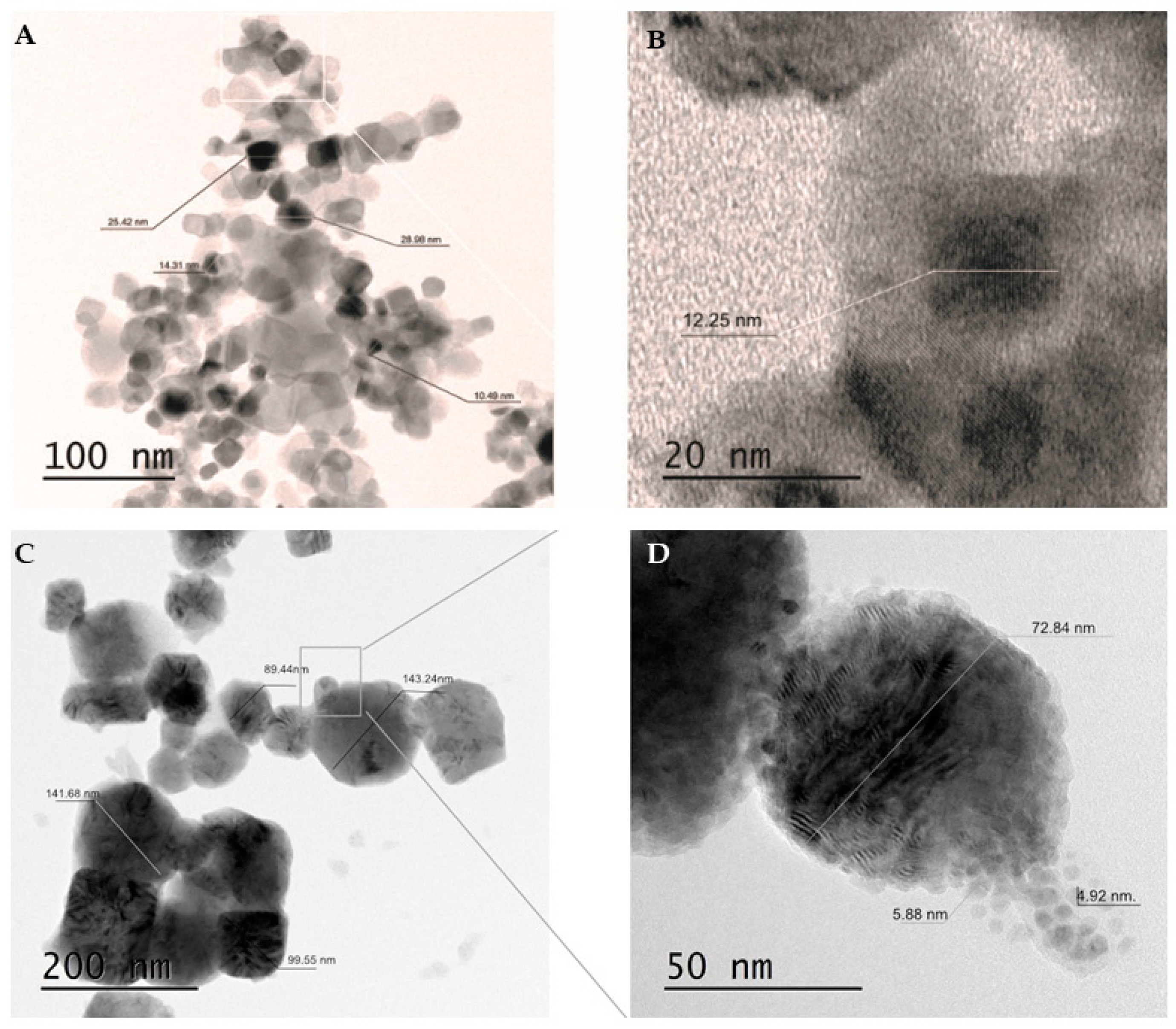 Ijms 21 09089 g001 Ijms 21 09089 g001