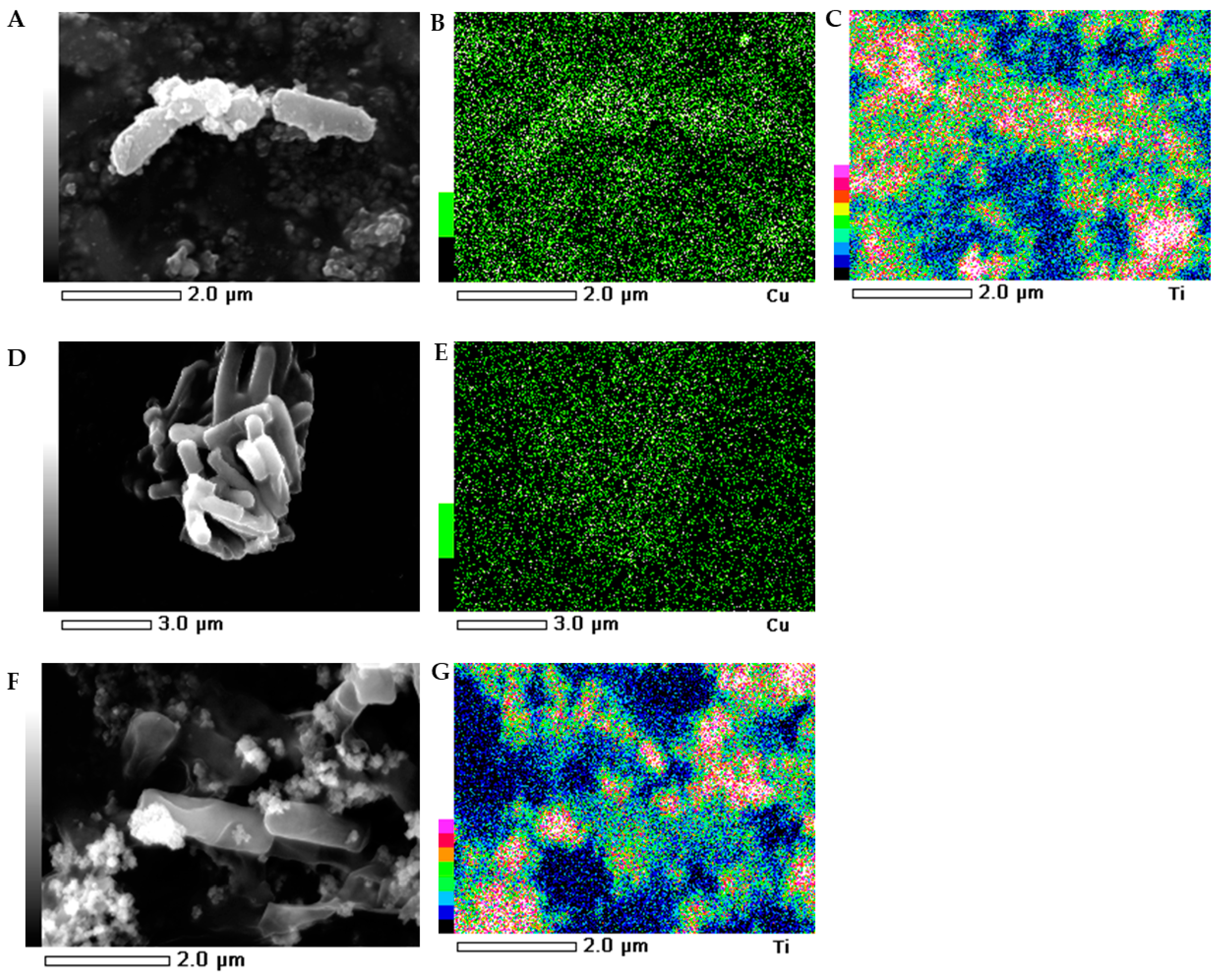 Ijms 21 09089 g006 Ijms 21 09089 g006