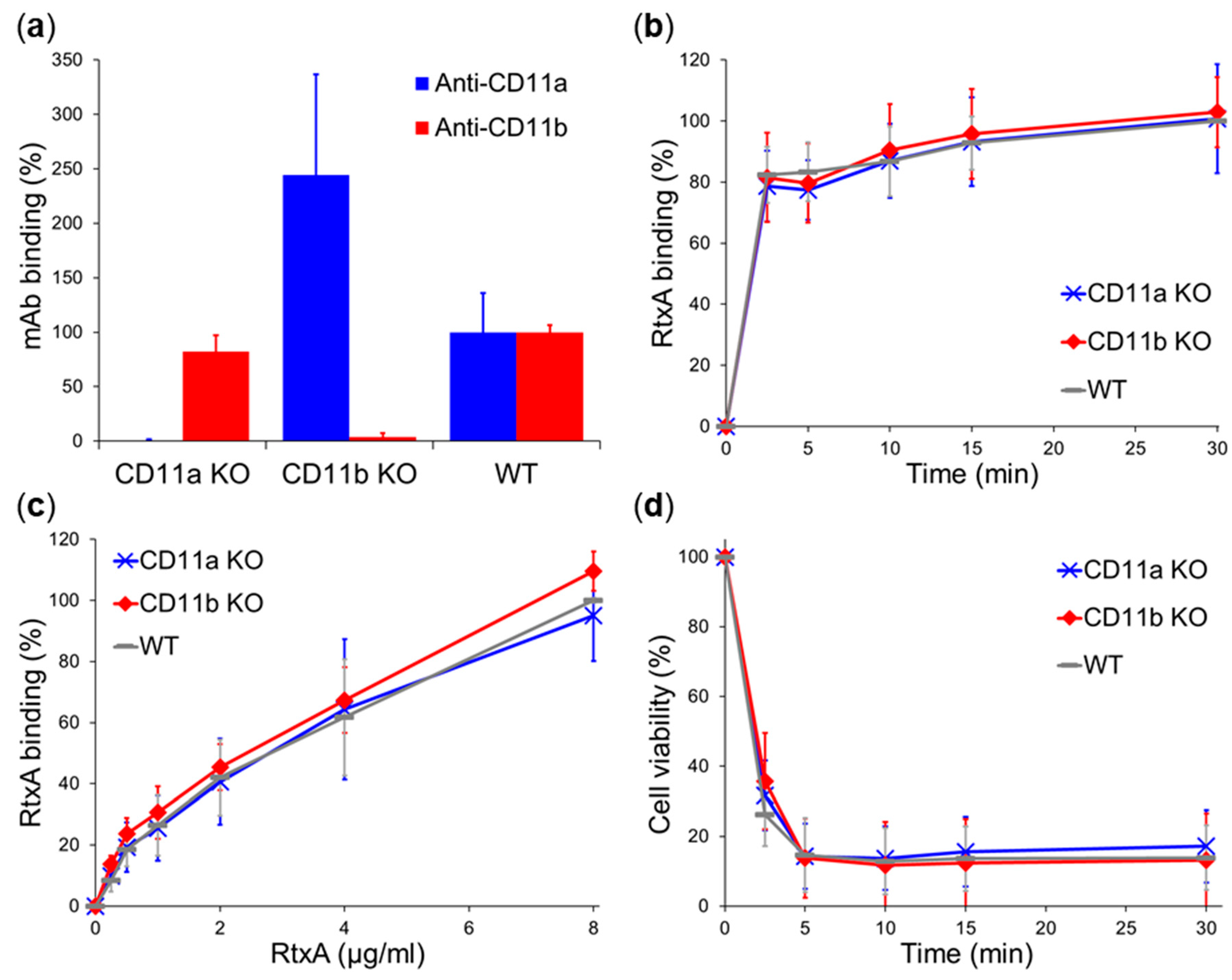 Ijms 21 09092 g005 Ijms 21 09092 g005