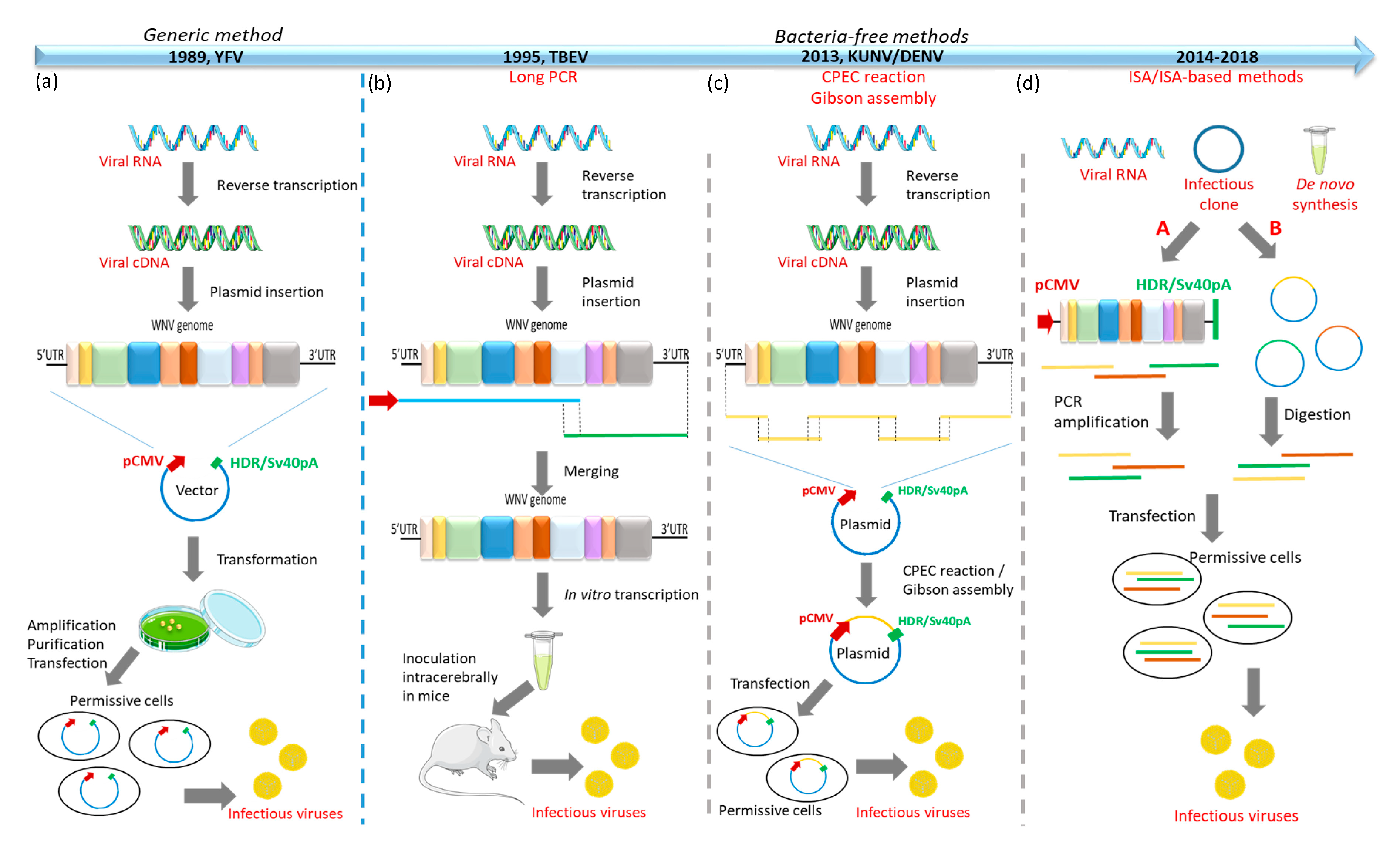 Ijms 21 09117 g005 Ijms 21 09117 g005