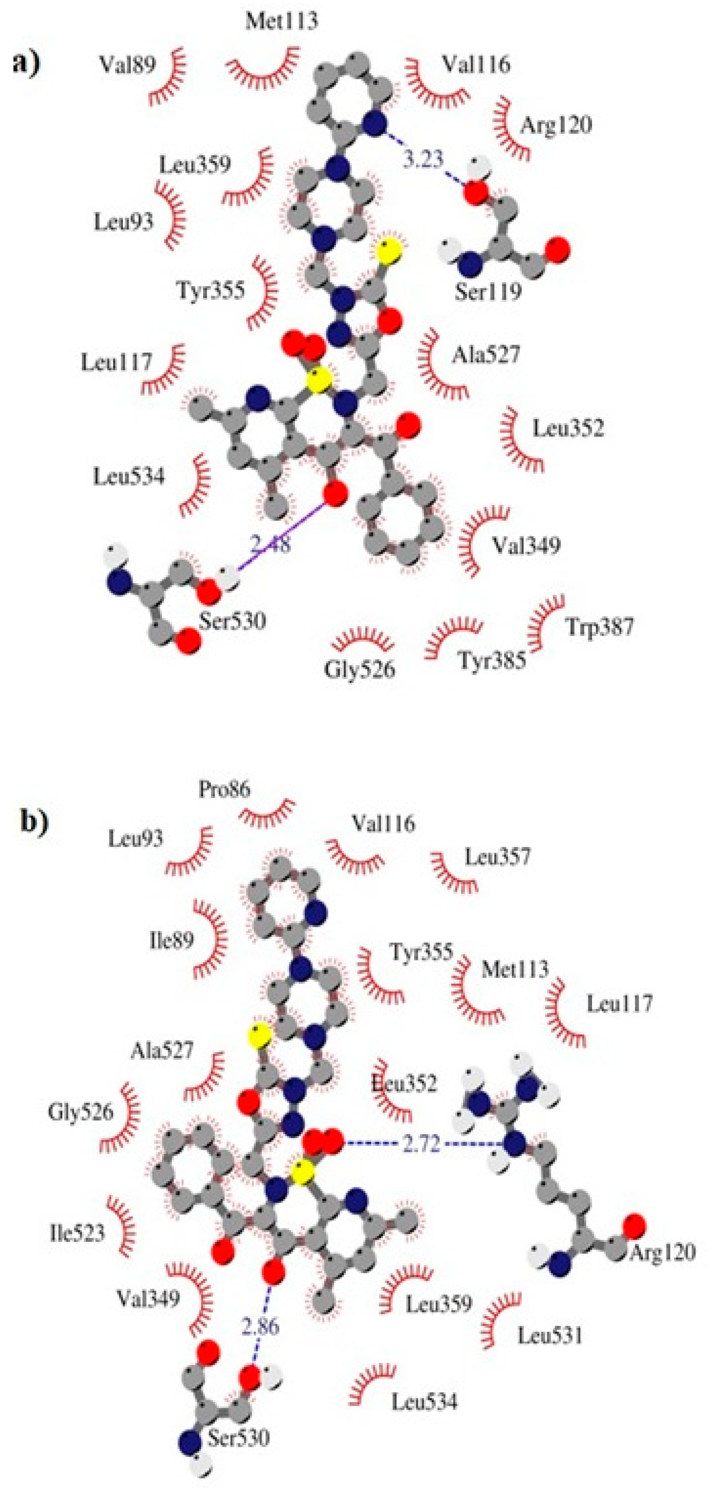 Ijms 21 09122 g008 Ijms 21 09122 g008