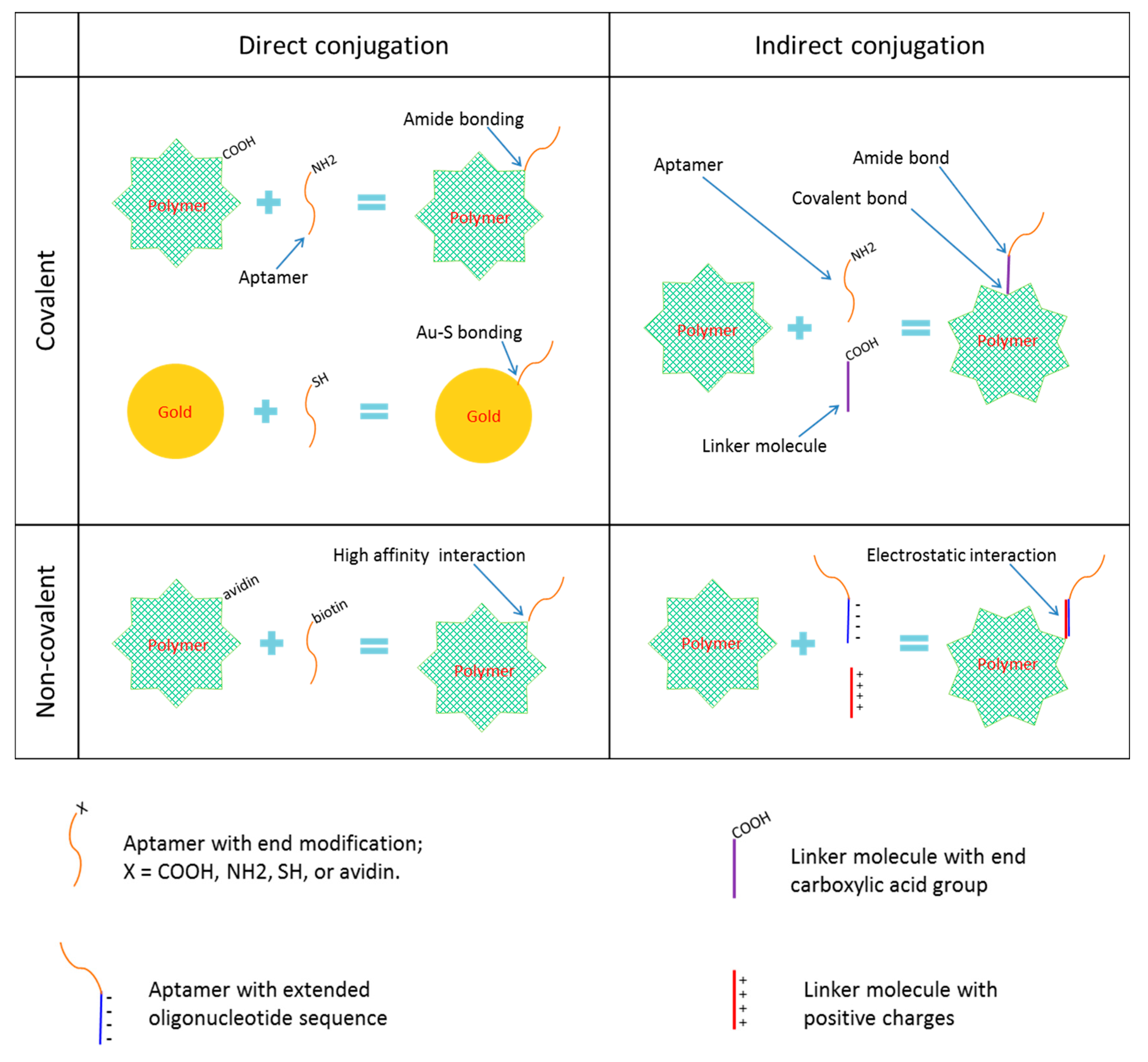 Ijms 21 09123 g002 Ijms 21 09123 g002