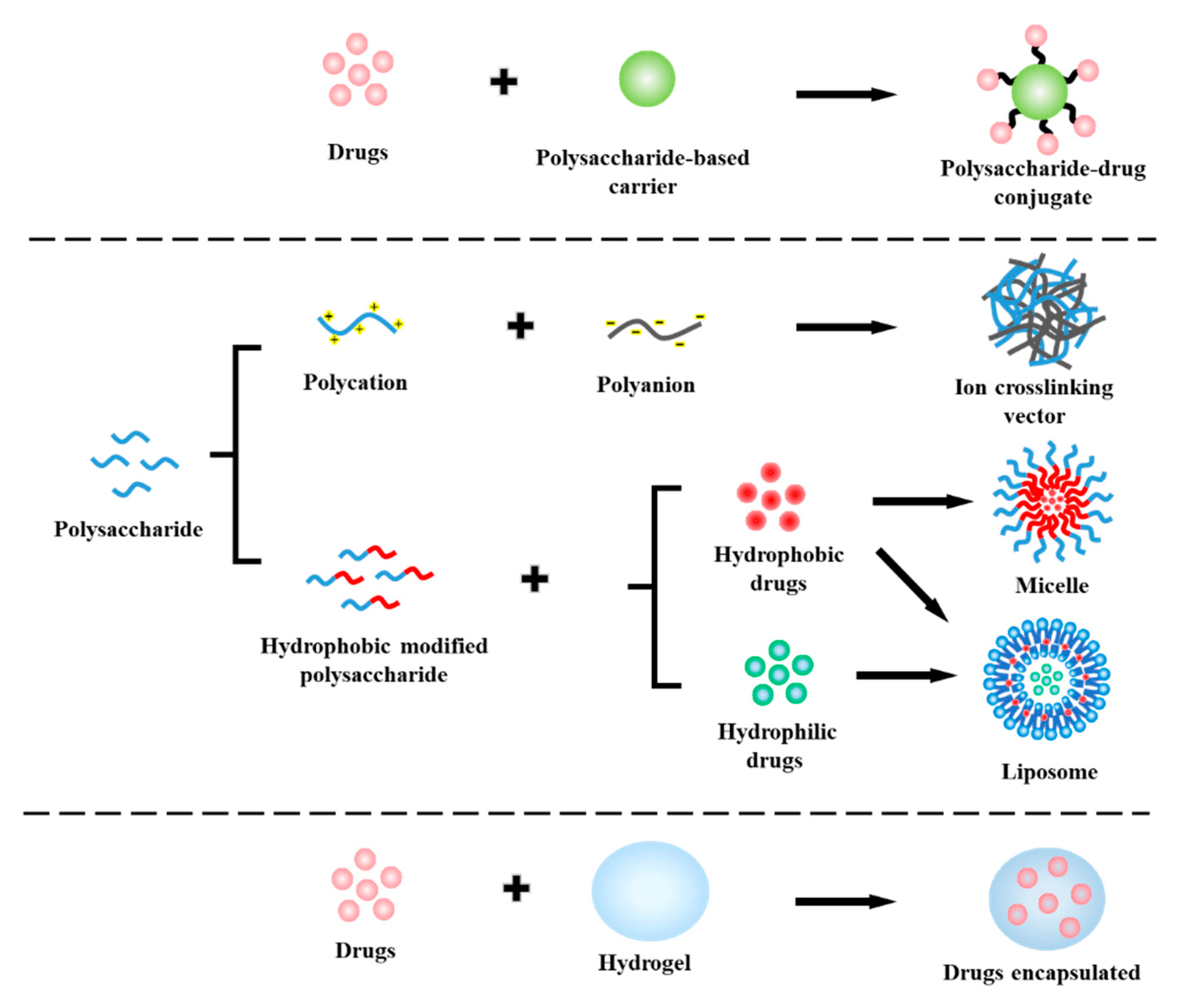 Ijms 21 09159 g001 Ijms 21 09159 g001