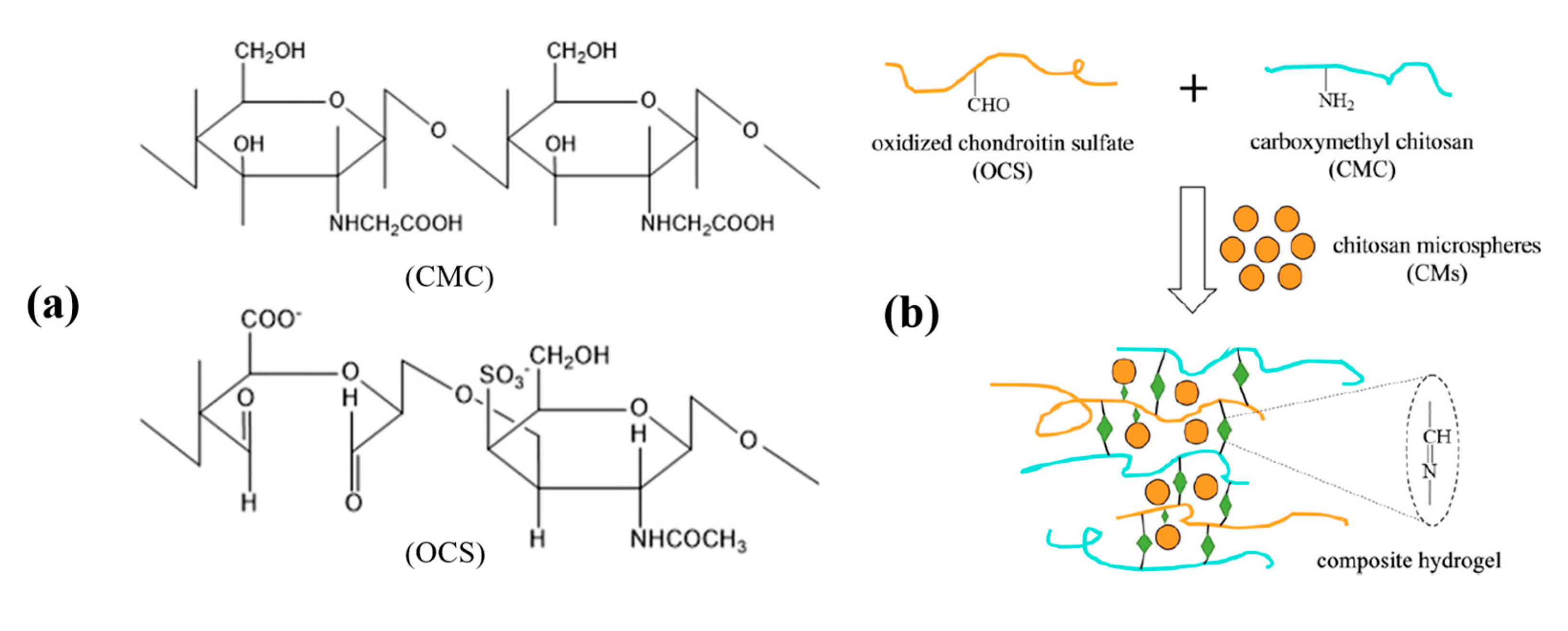 Ijms 21 09159 g002 Ijms 21 09159 g002