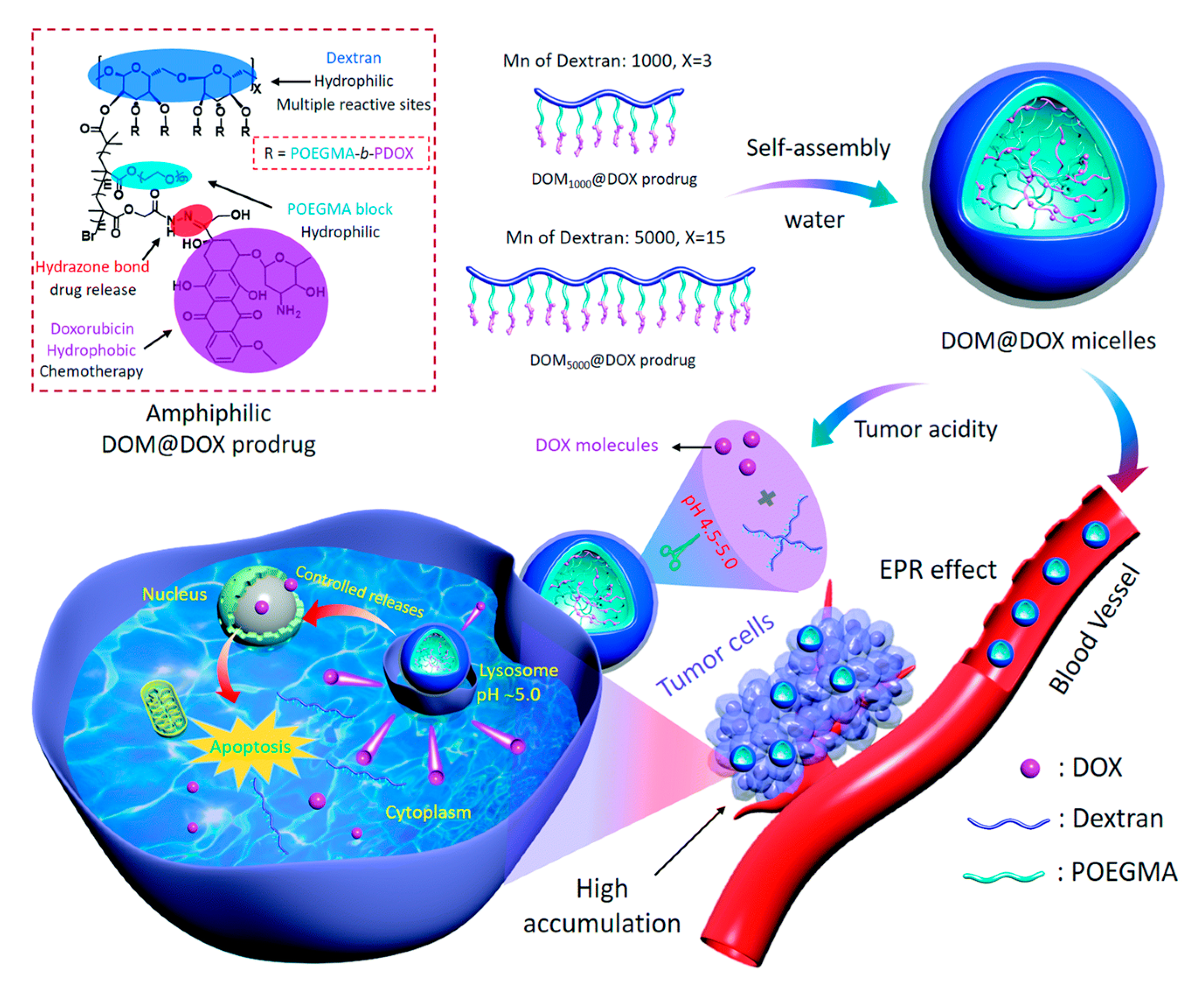 Ijms 21 09159 g004 Ijms 21 09159 g004