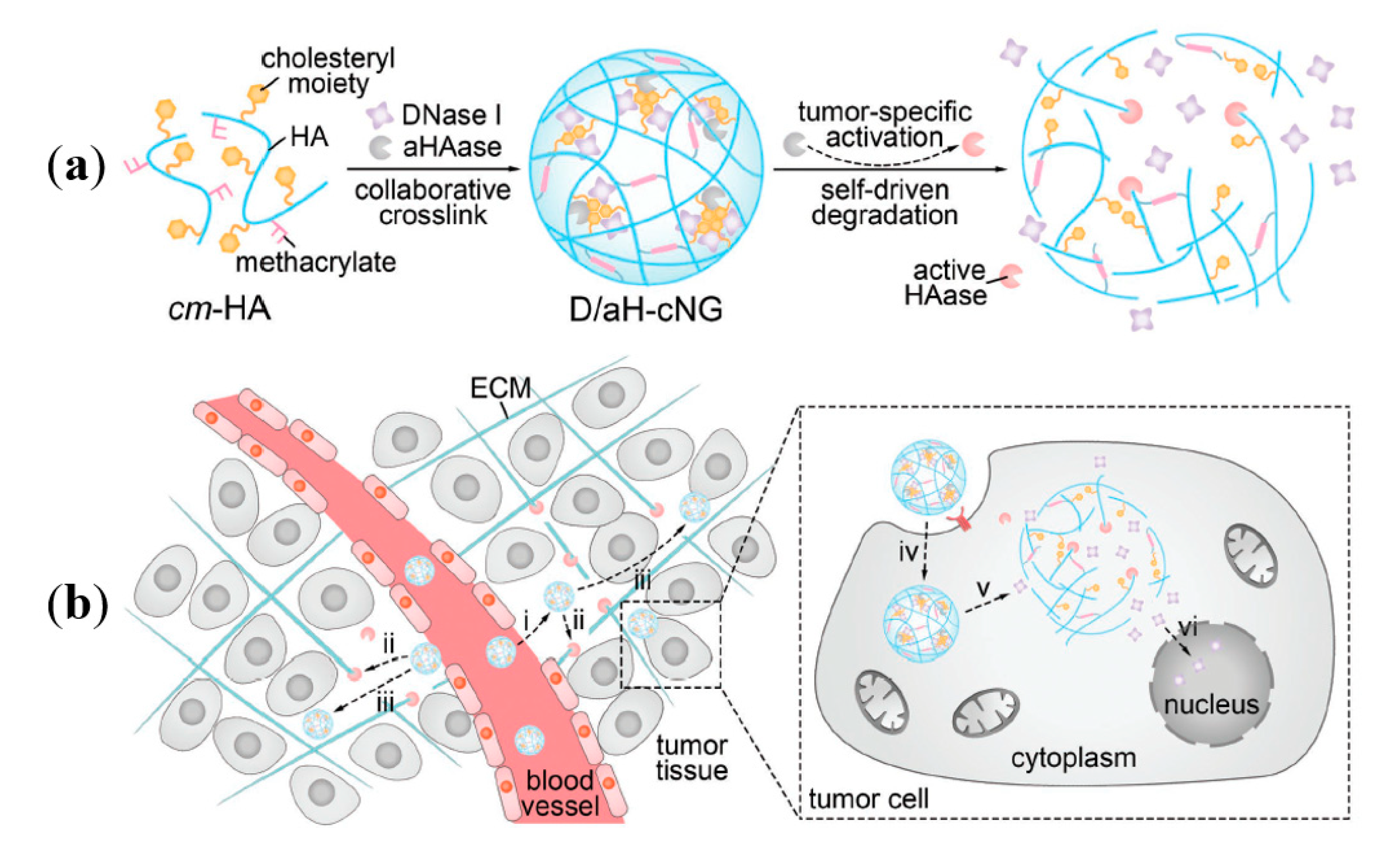 Ijms 21 09159 g006 Ijms 21 09159 g006