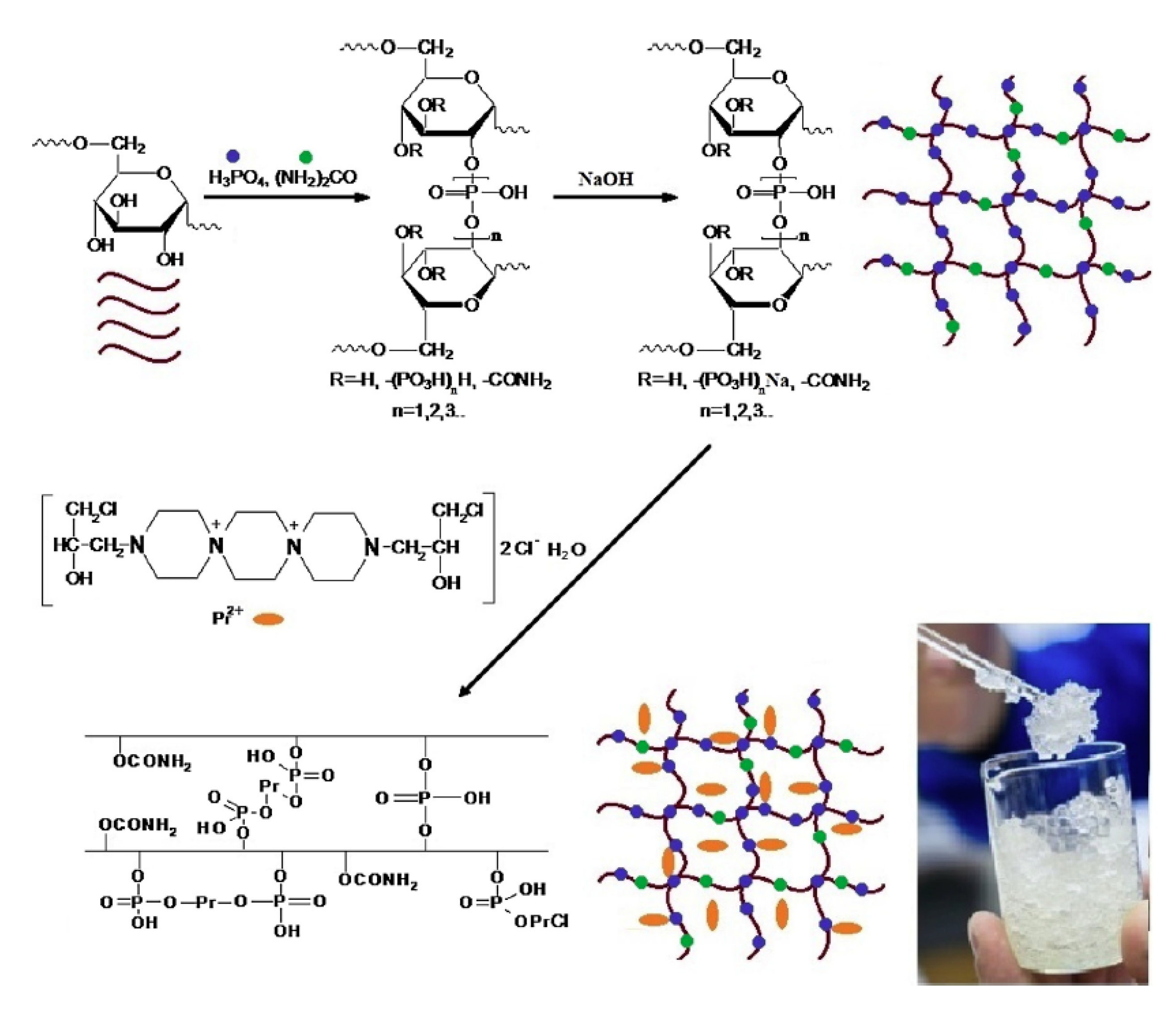 Ijms 21 09159 g008 Ijms 21 09159 g008