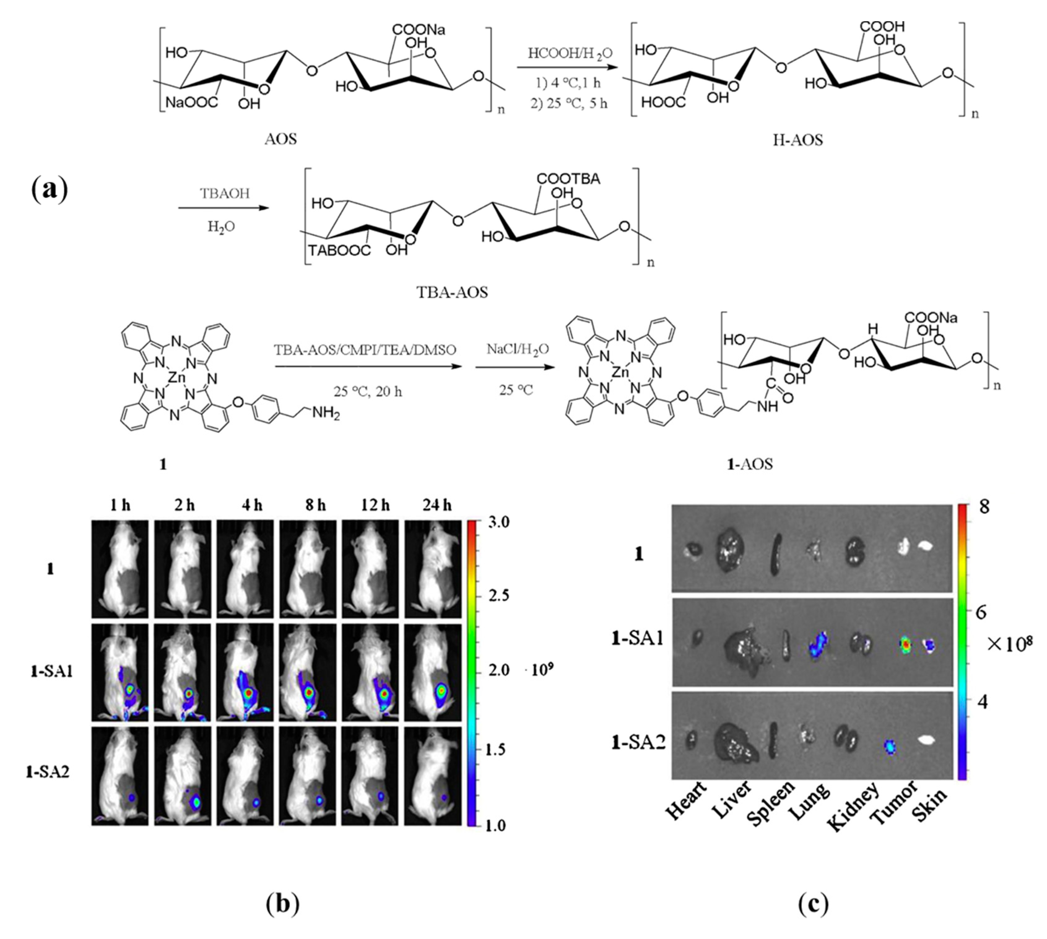 Ijms 21 09159 g009 Ijms 21 09159 g009