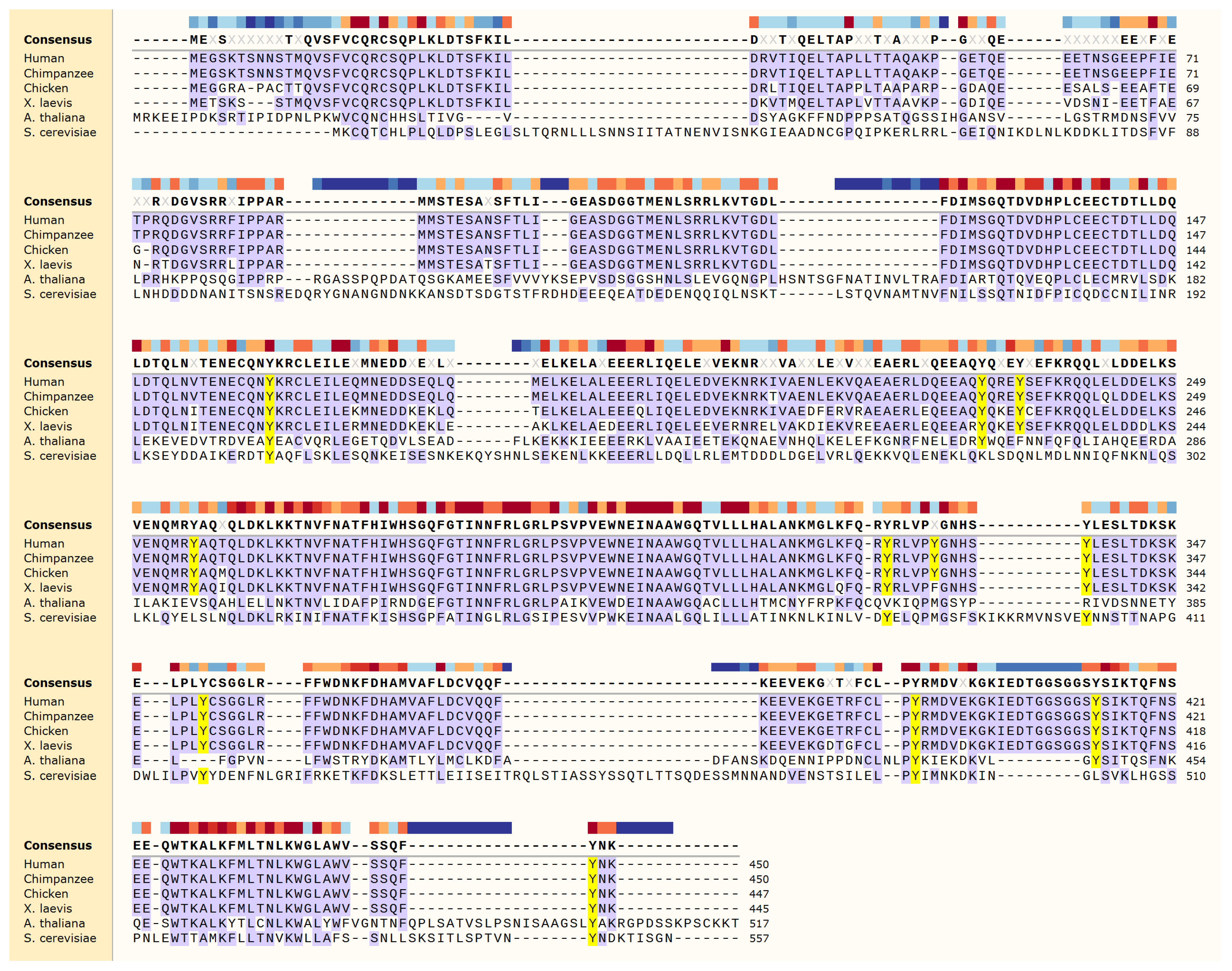 Ijms Free Full Text Regulation Of Beclin 1 Mediated Autophagy By Oncogenic Tyrosine Kinases Html