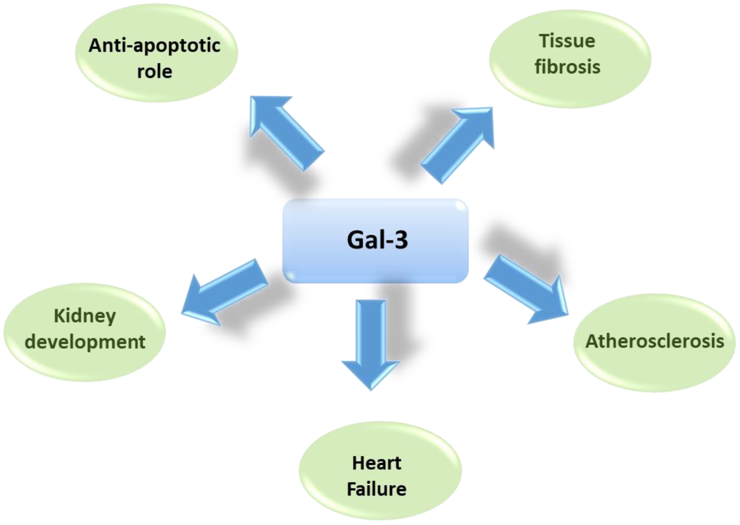 Ijms 21 09232 g002 Ijms 21 09232 g002