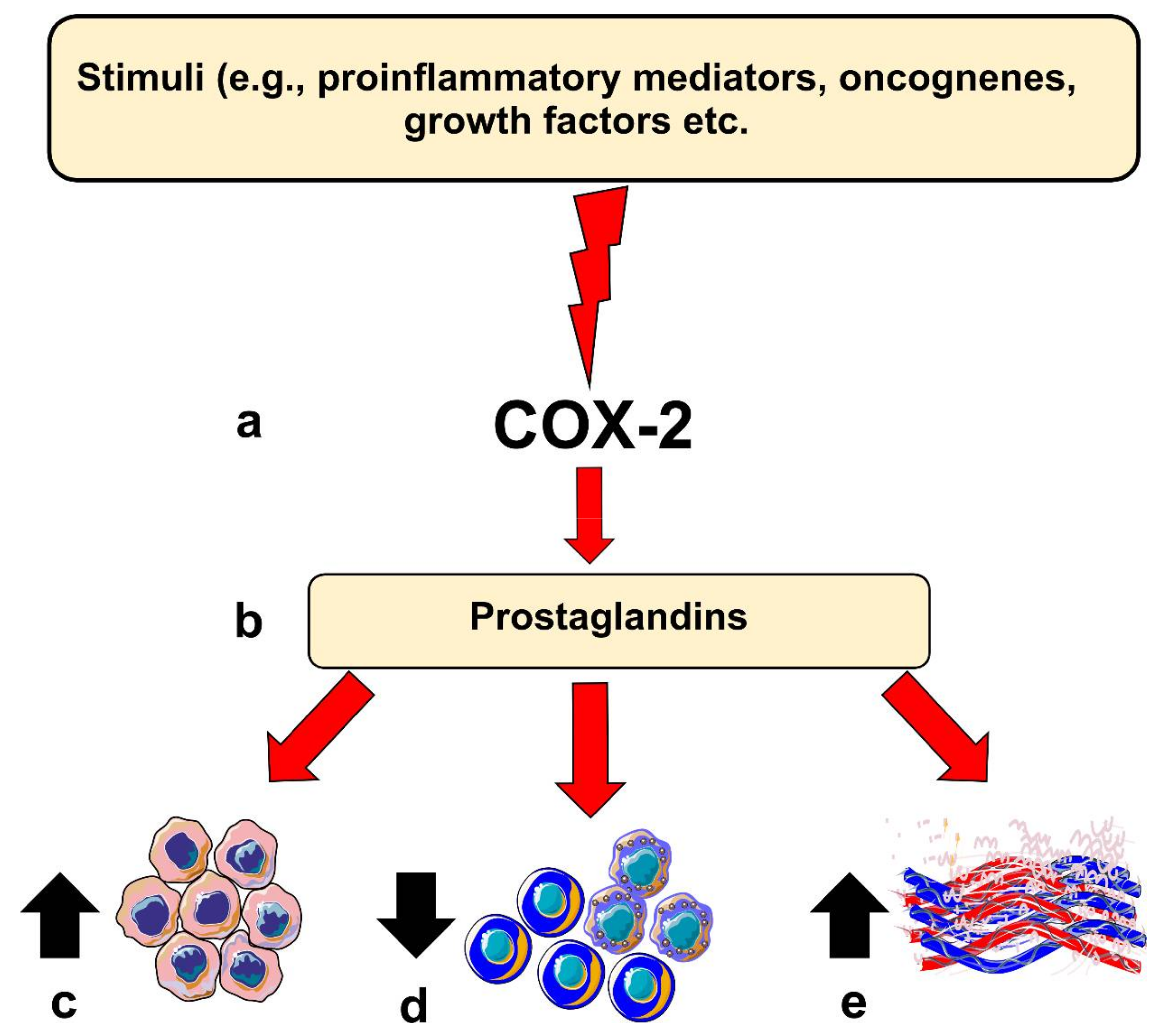 Ijms 21 09246 g001 Ijms 21 09246 g001