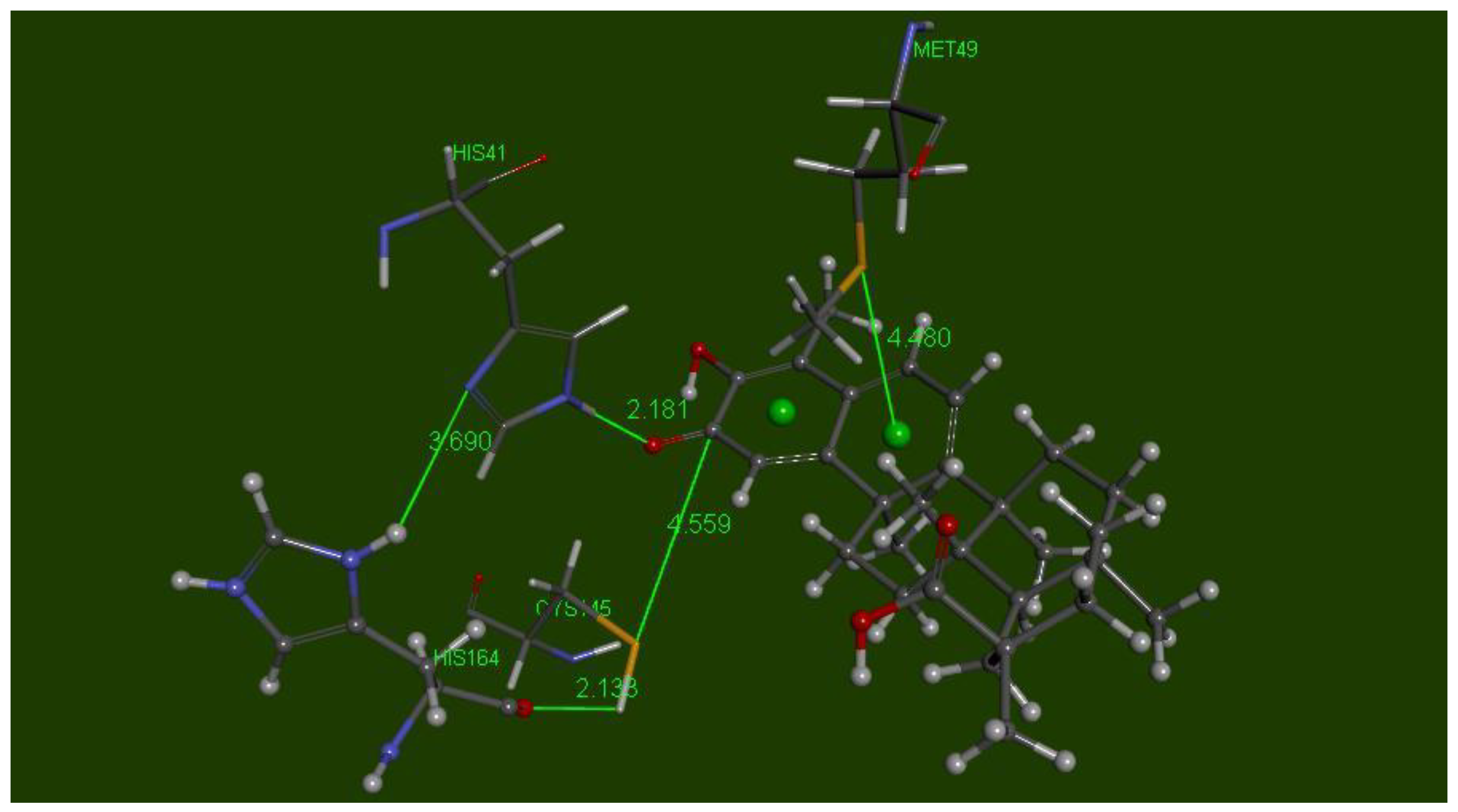 Ijms 21 09266 g014 Ijms 21 09266 g014