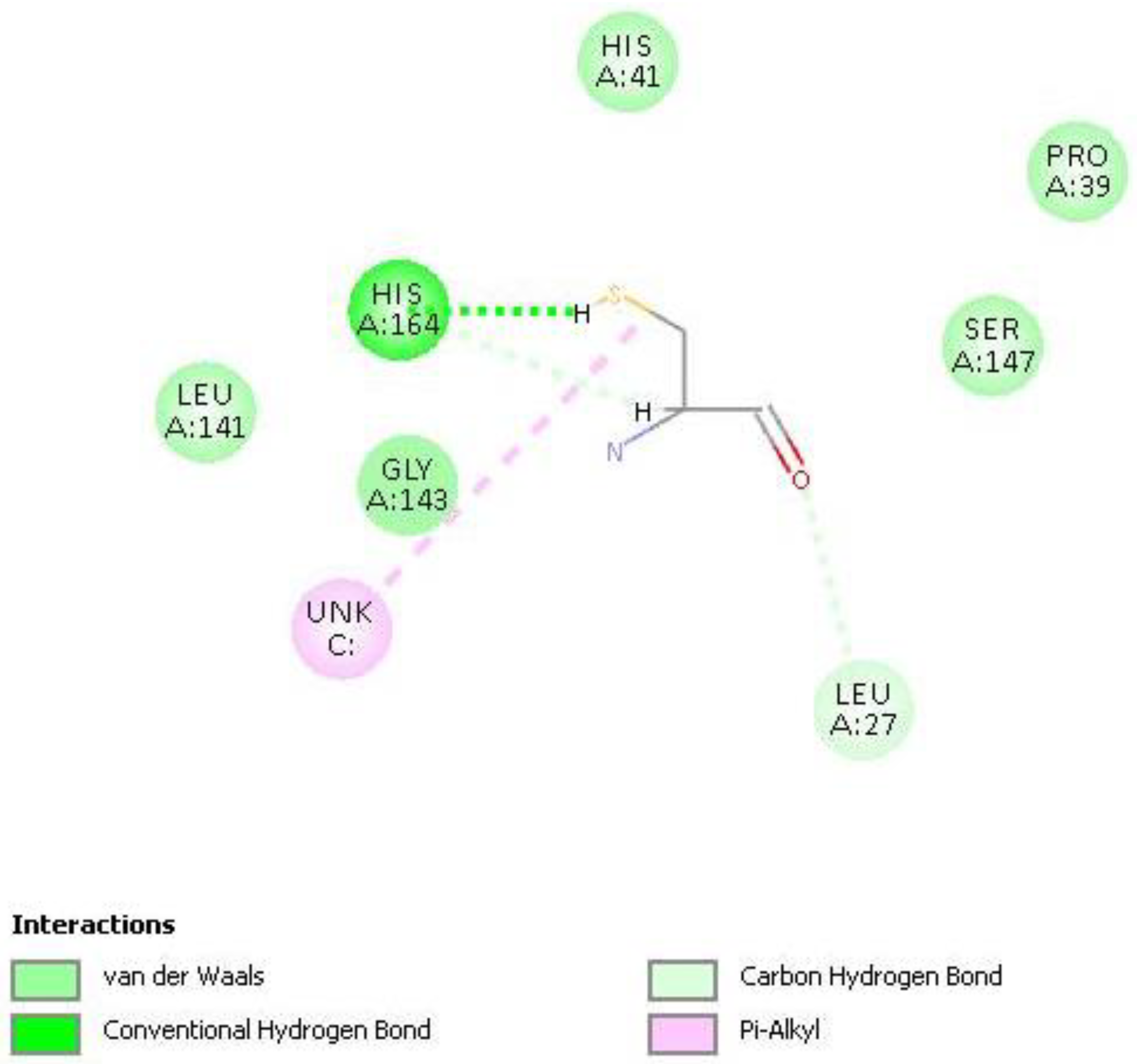 Ijms 21 09266 g017 Ijms 21 09266 g017