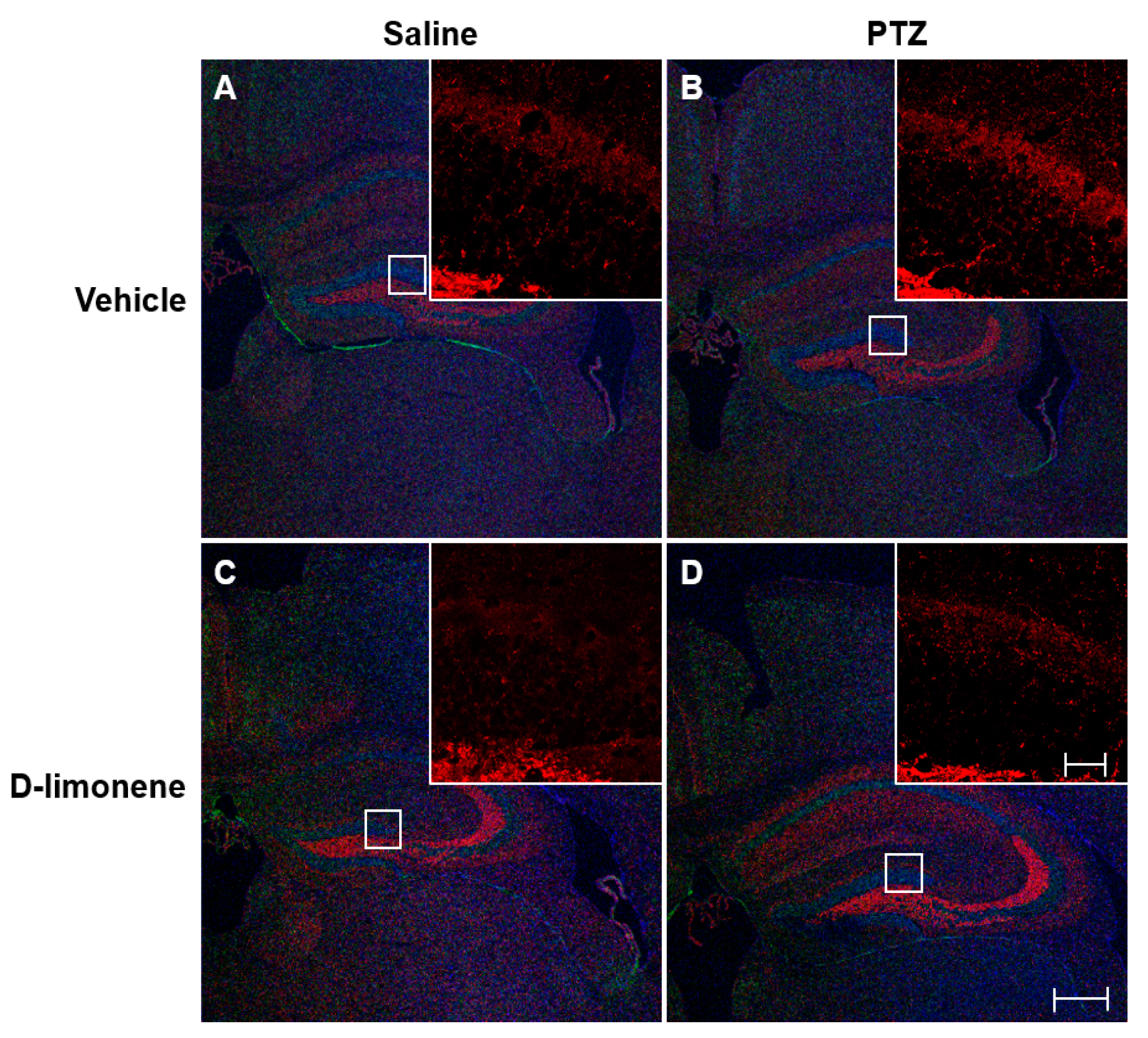 Ijms 21 09277 g003 Ijms 21 09277 g003