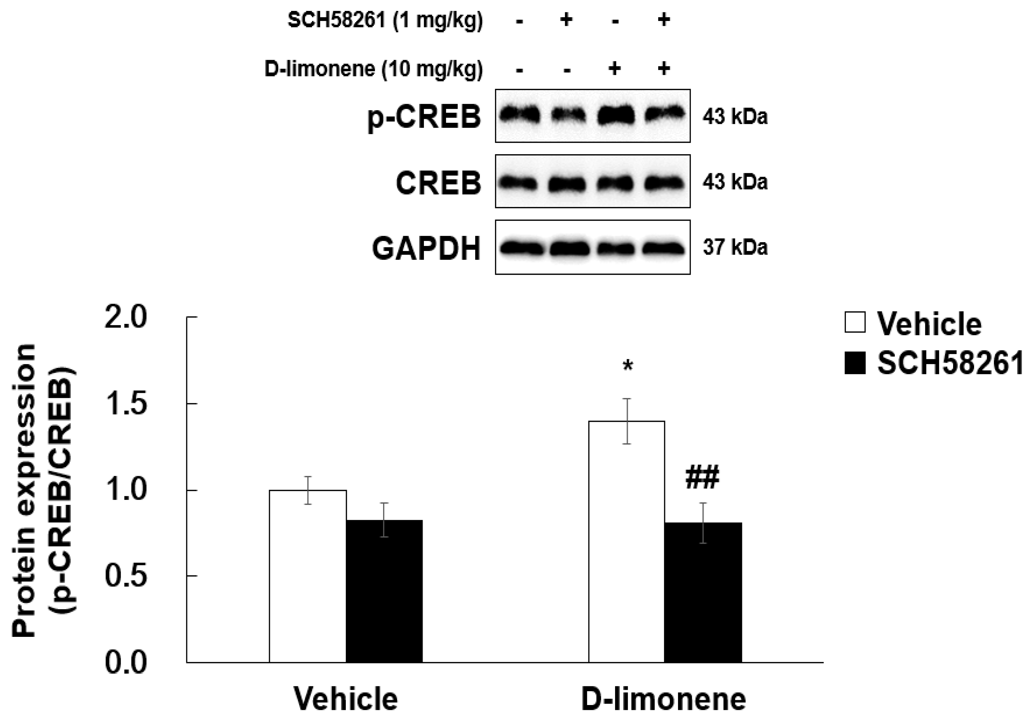 Ijms 21 09277 g008 Ijms 21 09277 g008