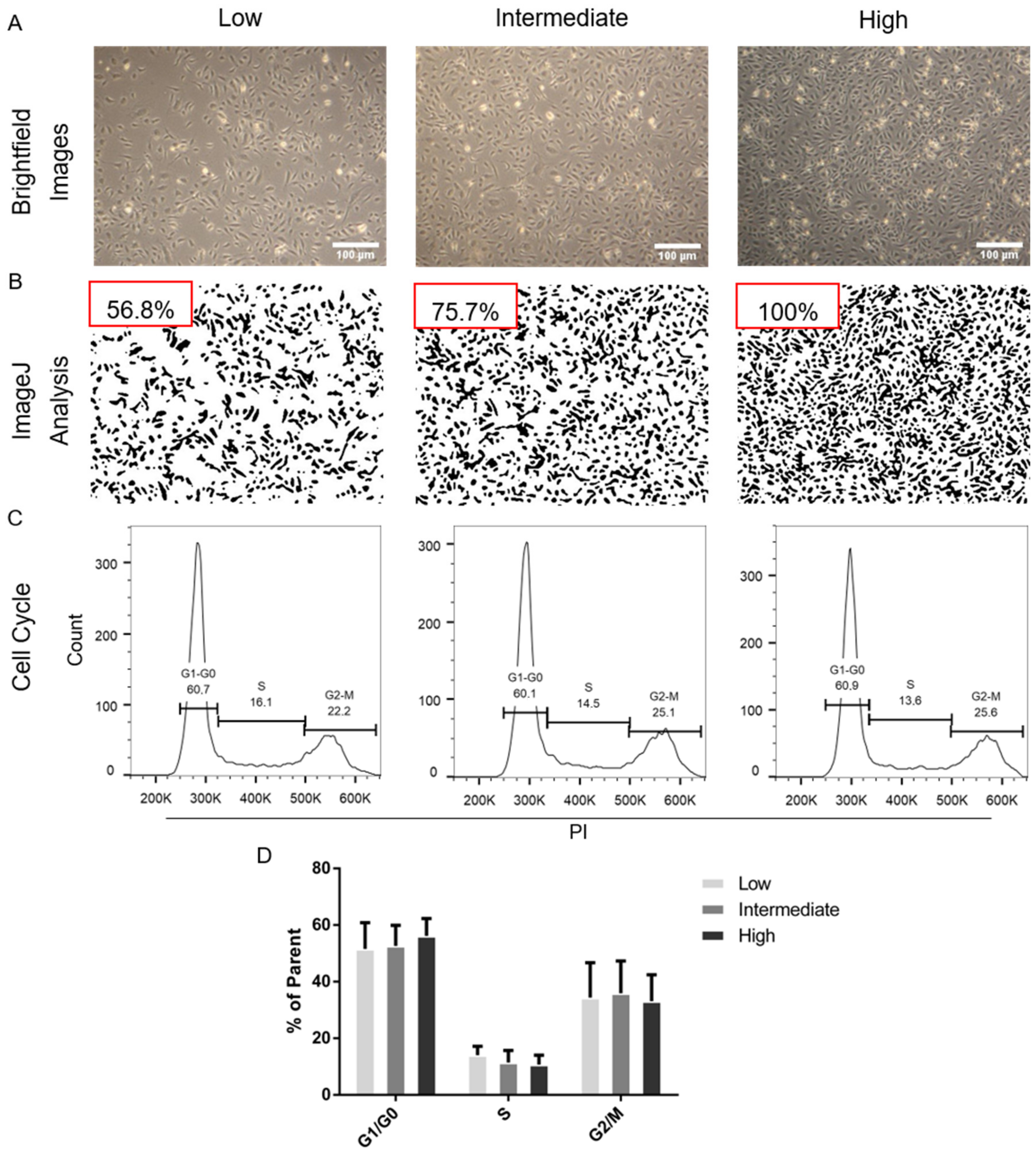 Ijms 21 09278 g001 Ijms 21 09278 g001