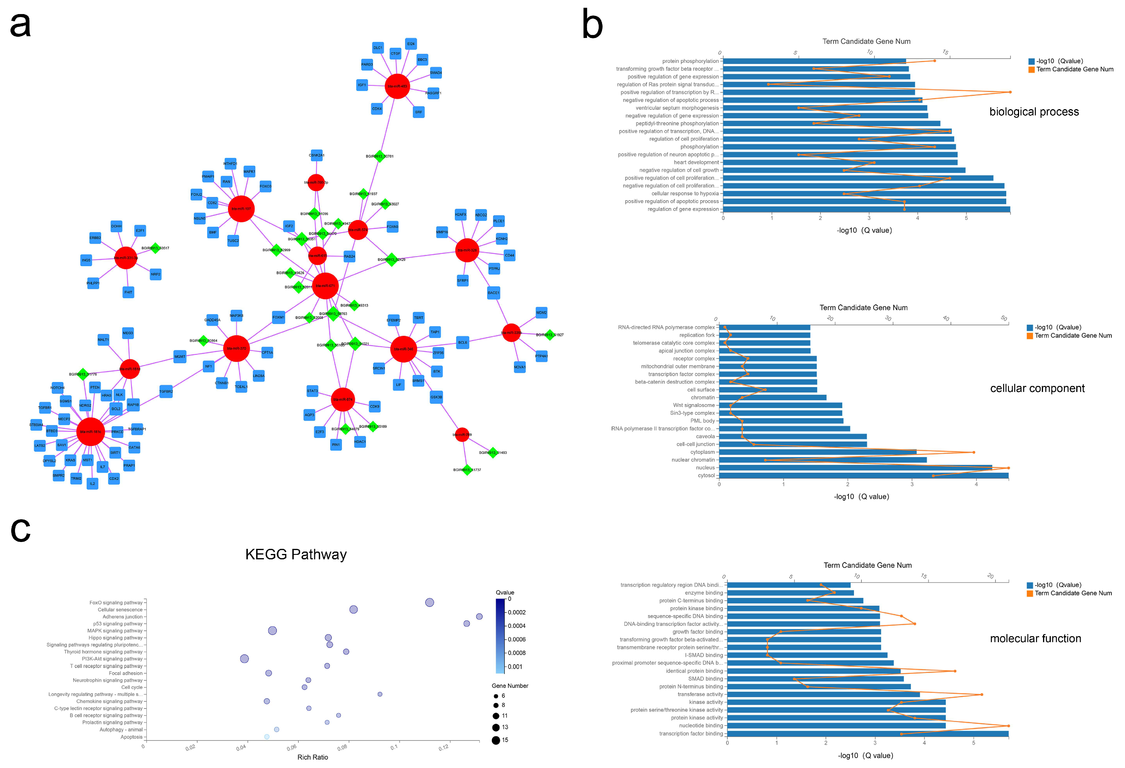 Ijms 21 09313 g006 Ijms 21 09313 g006