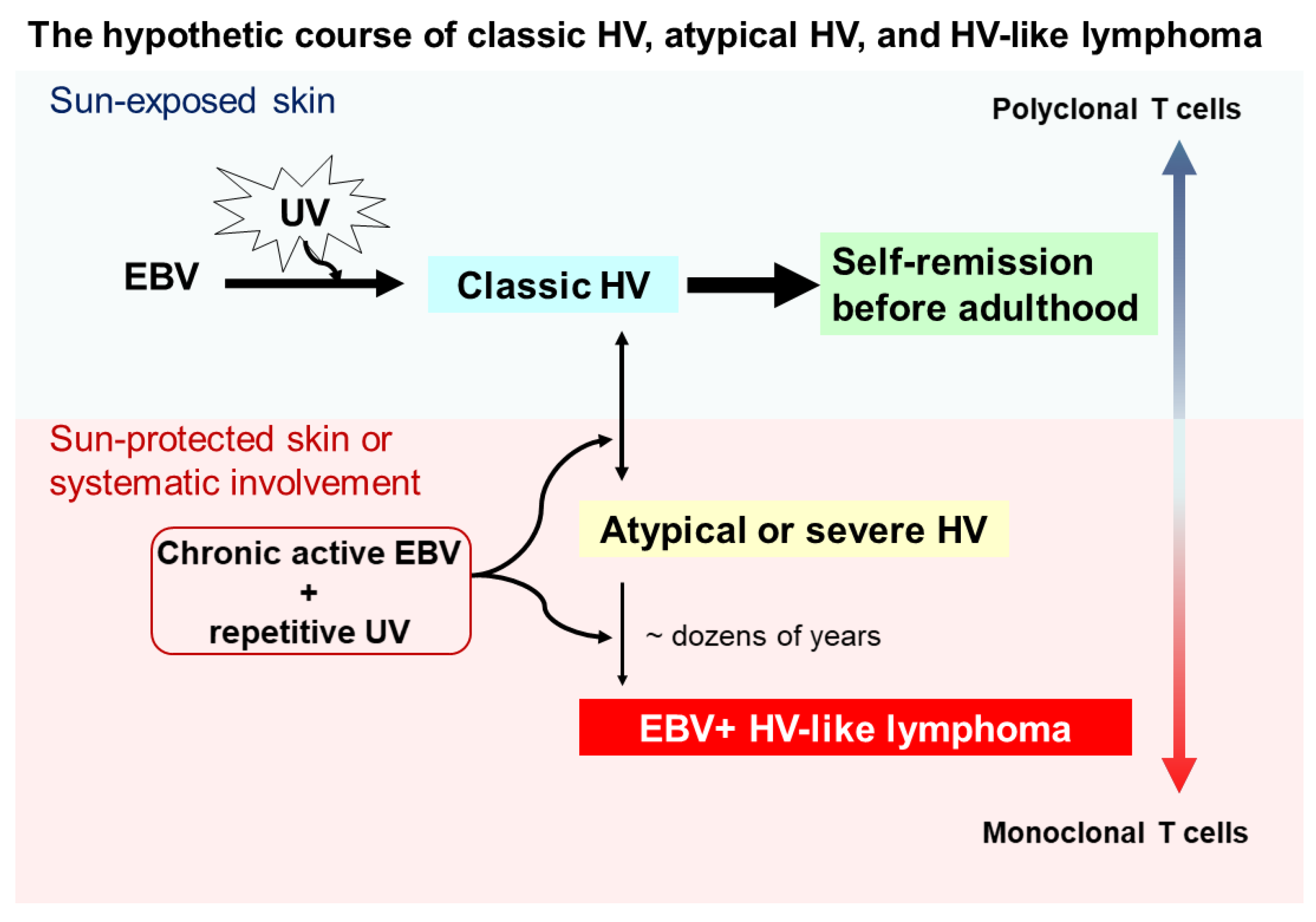 Ijms 21 09314 g001 Ijms 21 09314 g001