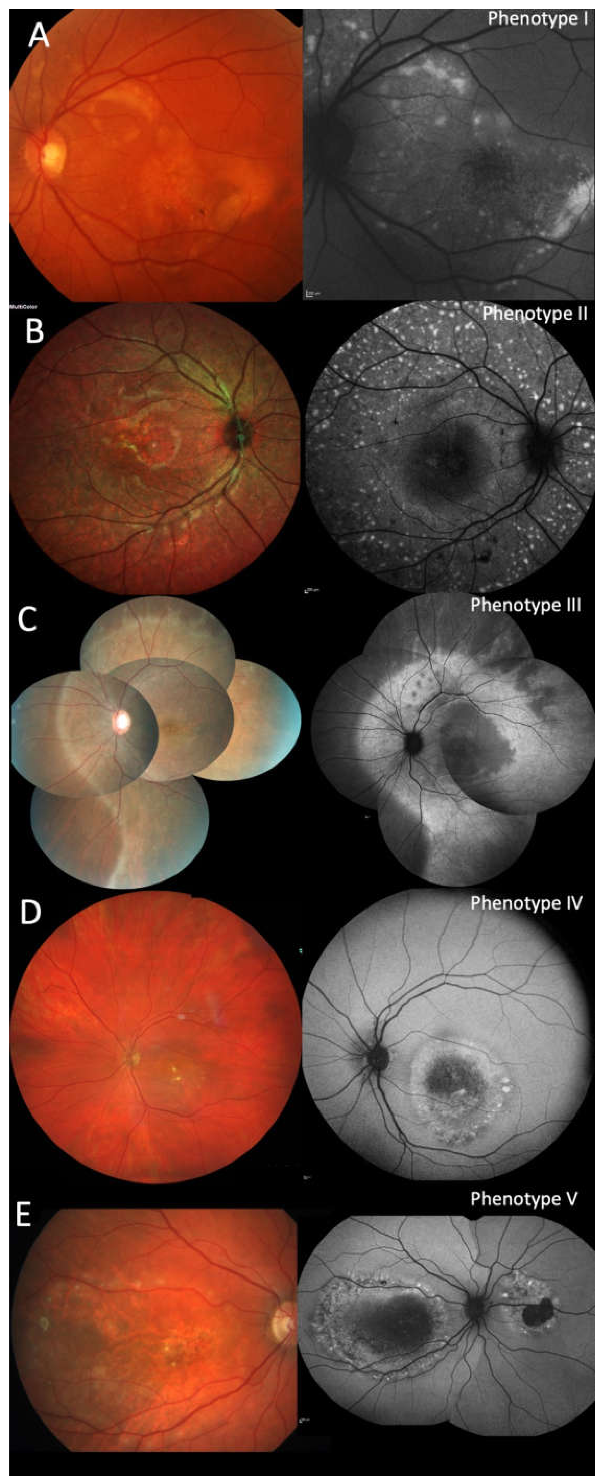 Ijms 21 09353 g001 Ijms 21 09353 g001