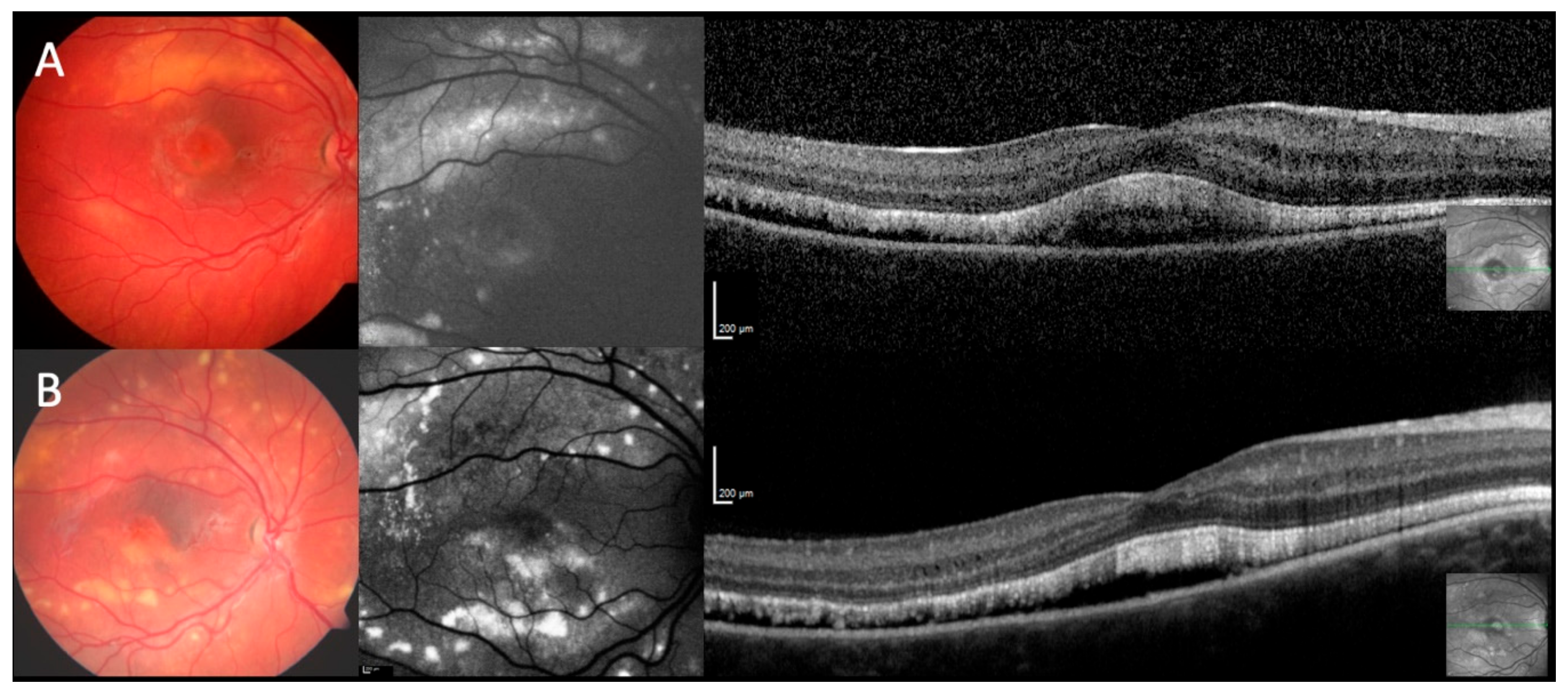 Ijms 21 09353 g002 Ijms 21 09353 g002