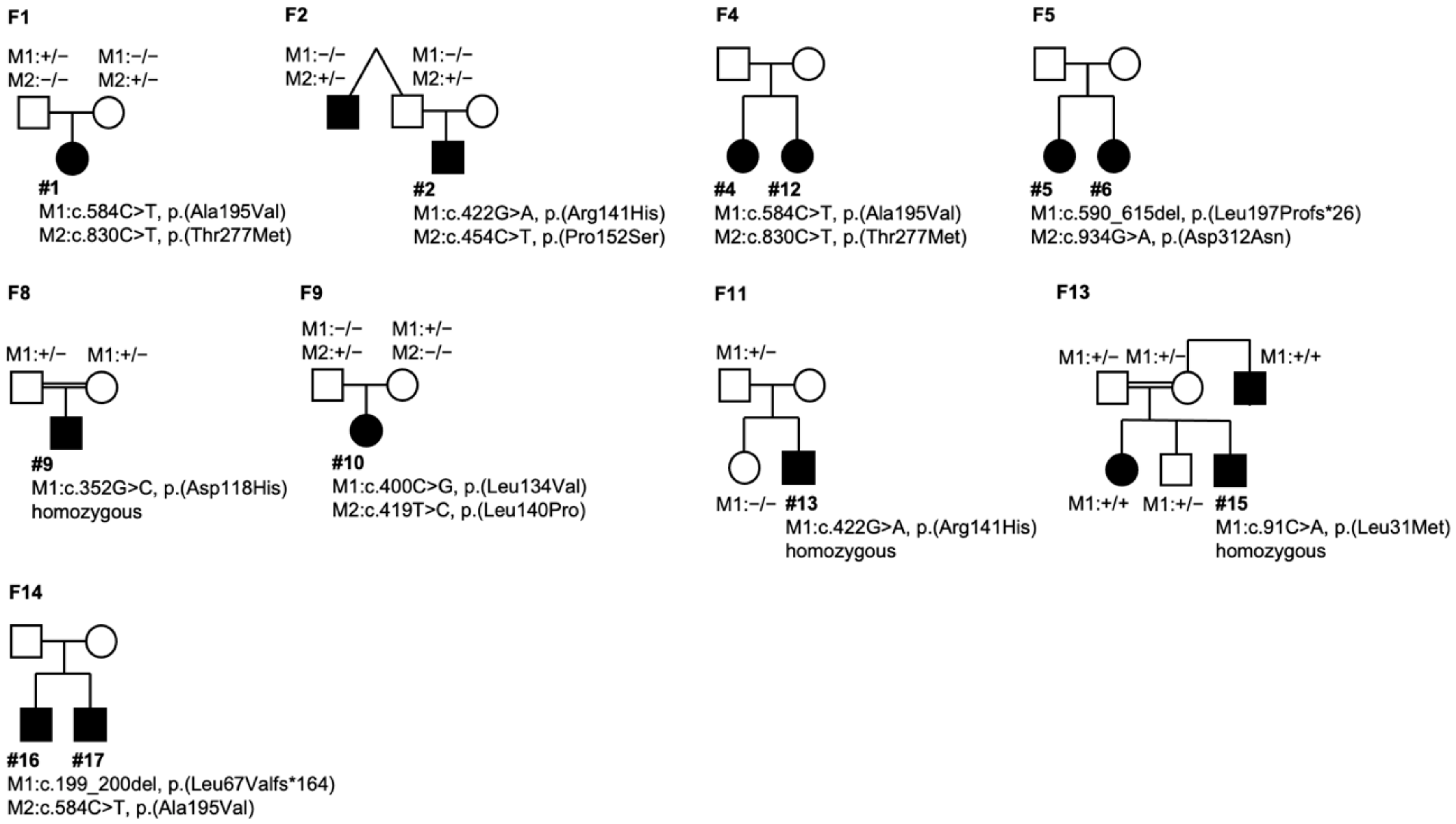 Ijms 21 09353 g005 Ijms 21 09353 g005