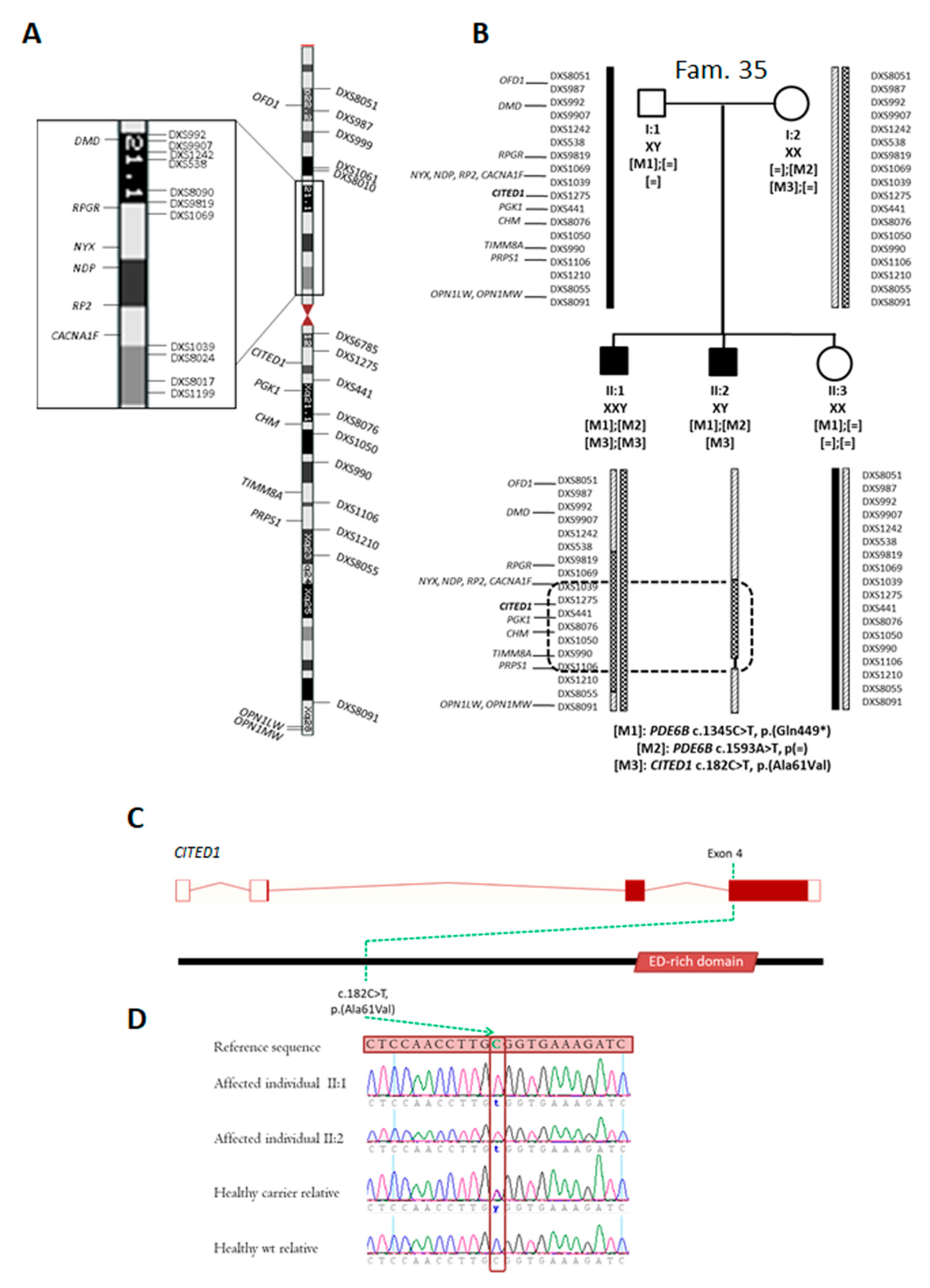 Ijms 21 09355 g003 Ijms 21 09355 g003