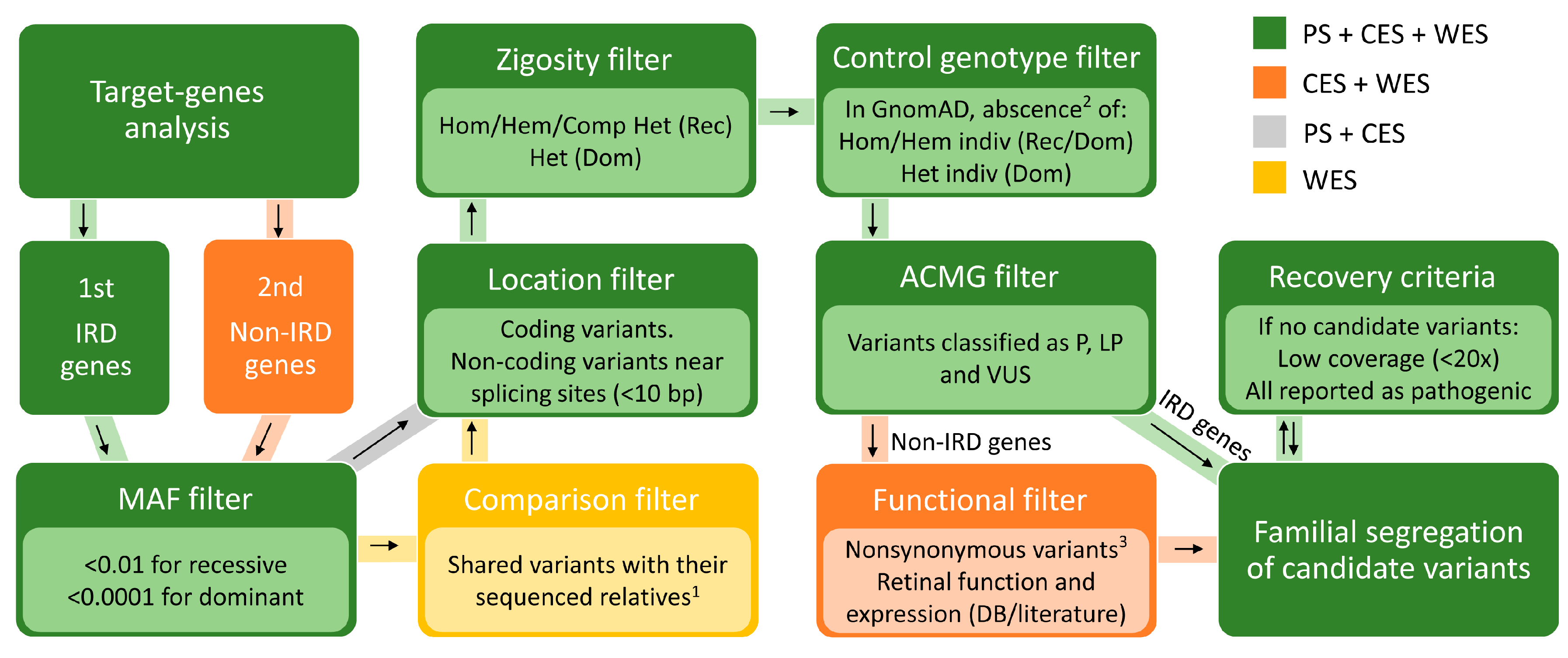 Ijms 21 09355 g005 Ijms 21 09355 g005