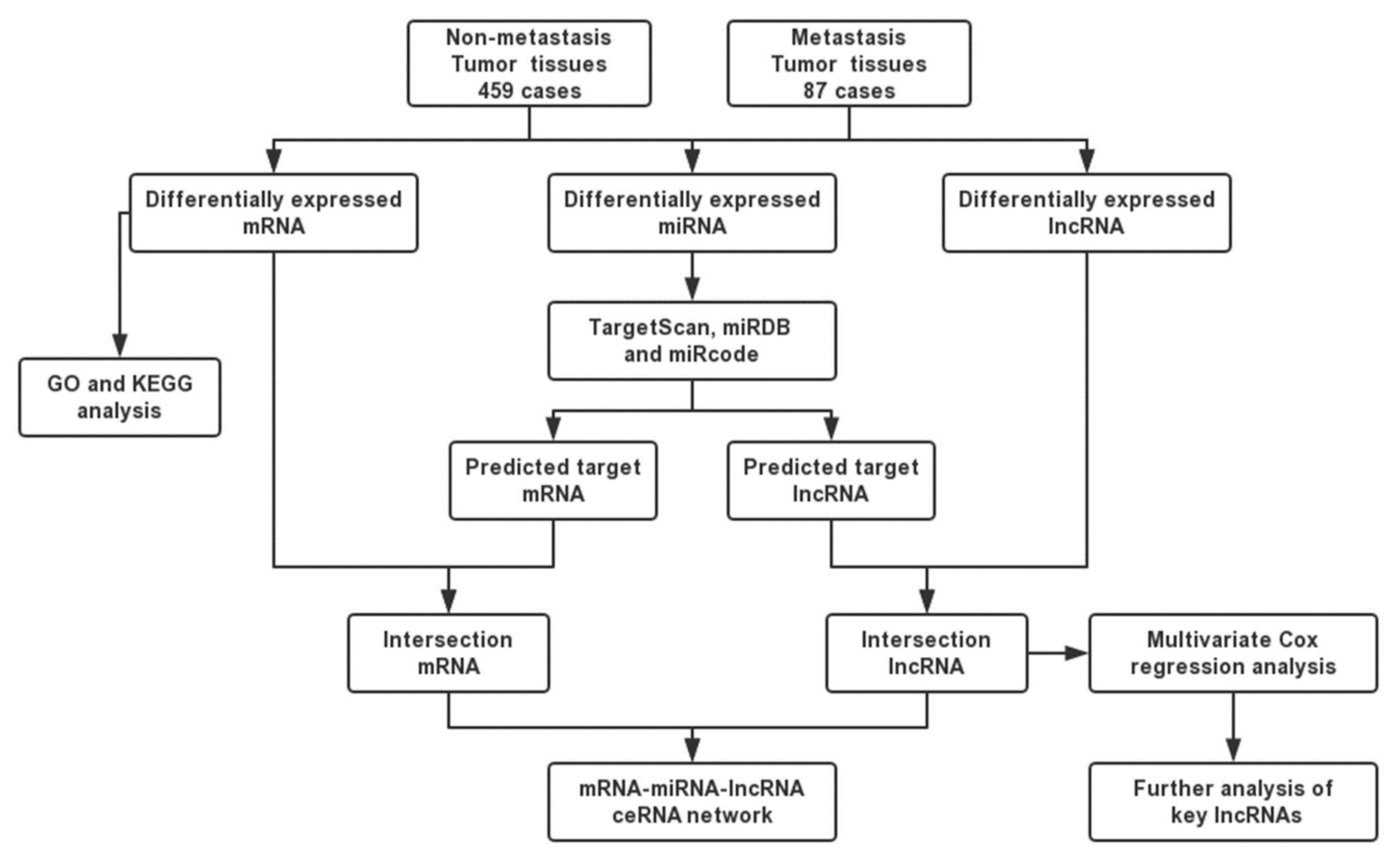 Ijms 21 09359 g001 Ijms 21 09359 g001