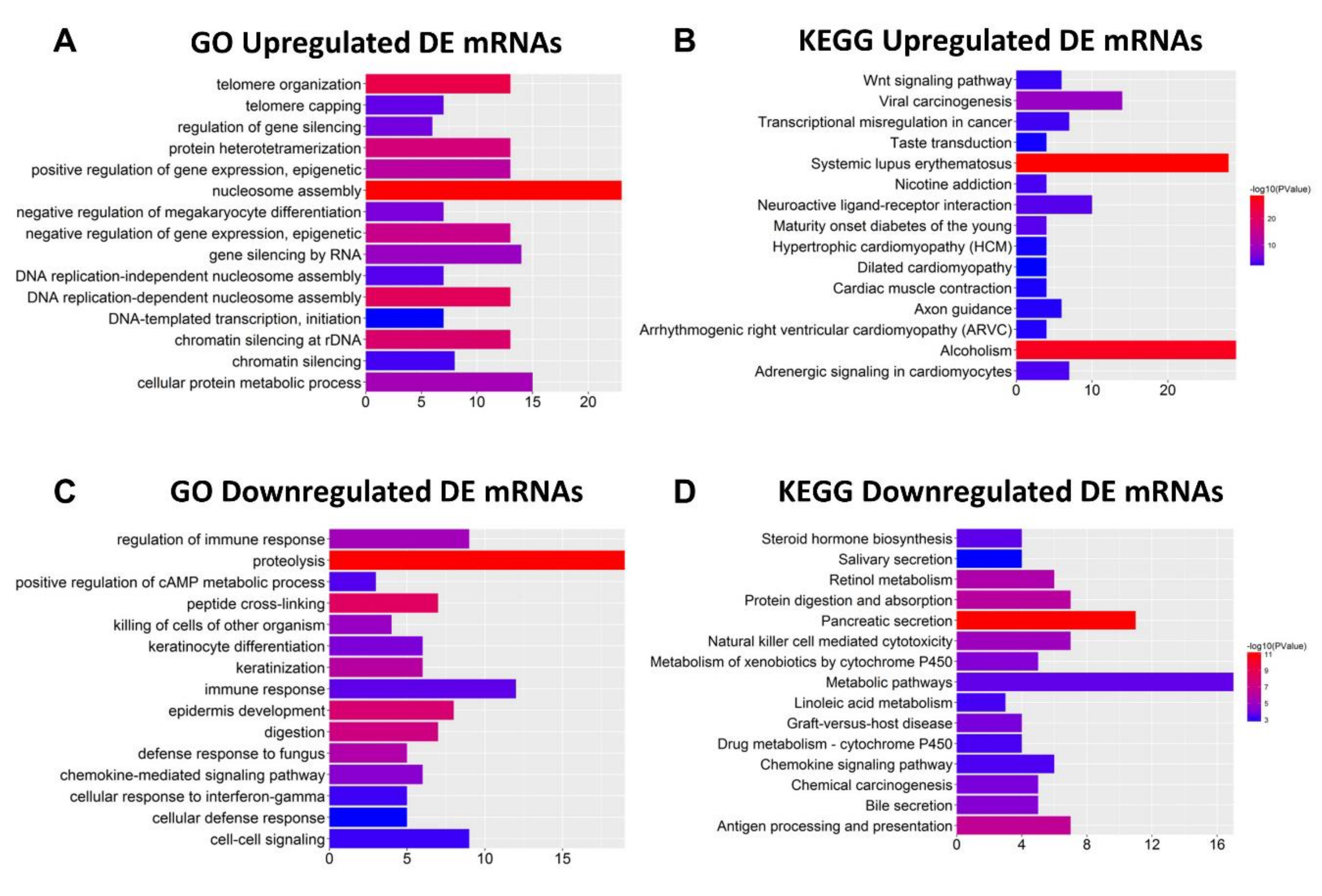 Ijms 21 09359 g002 Ijms 21 09359 g002