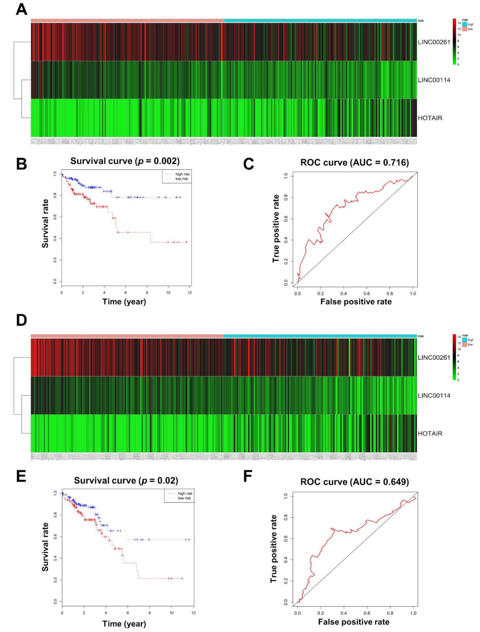 Ijms 21 09359 g004 Ijms 21 09359 g004