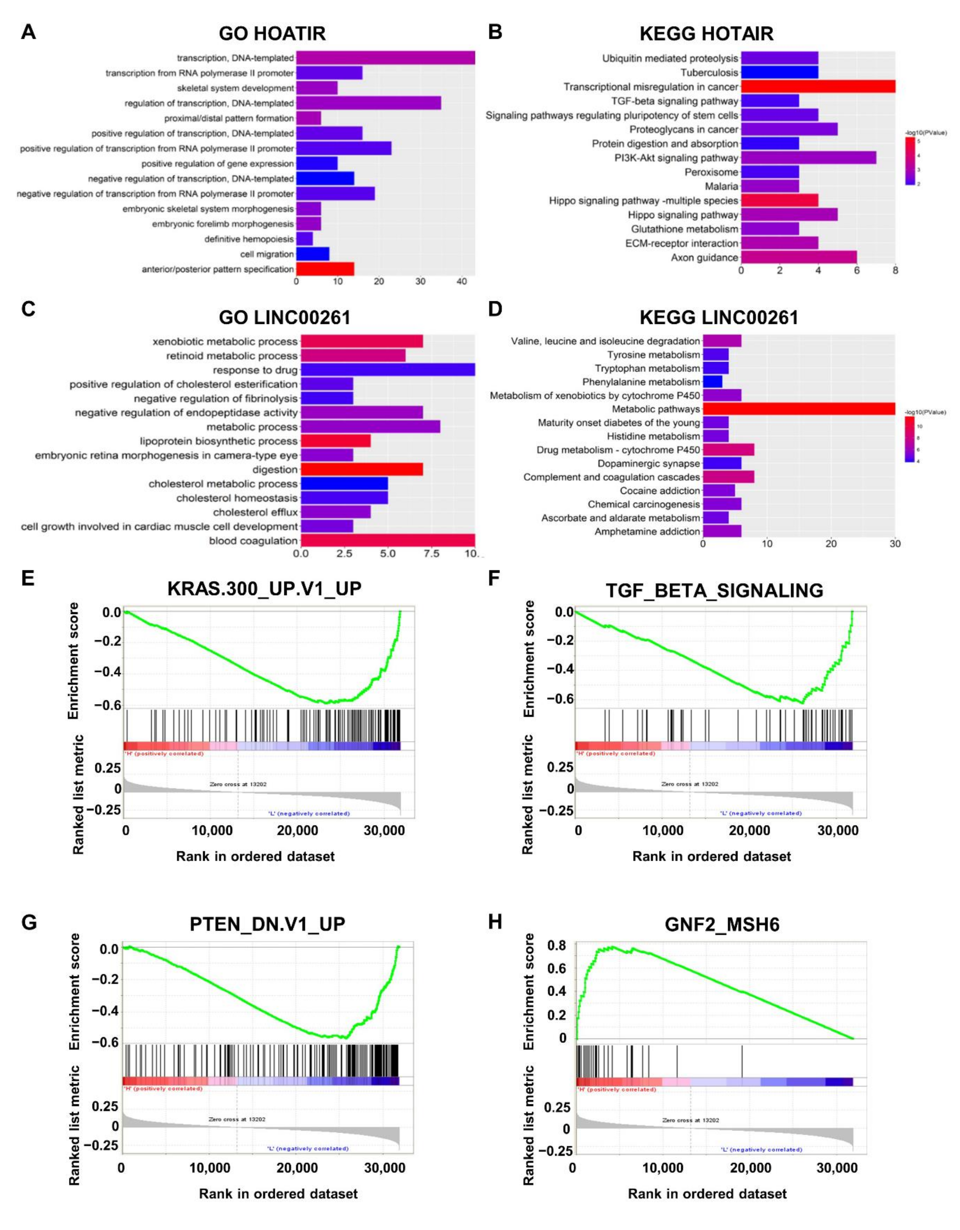 Ijms 21 09359 g006 Ijms 21 09359 g006