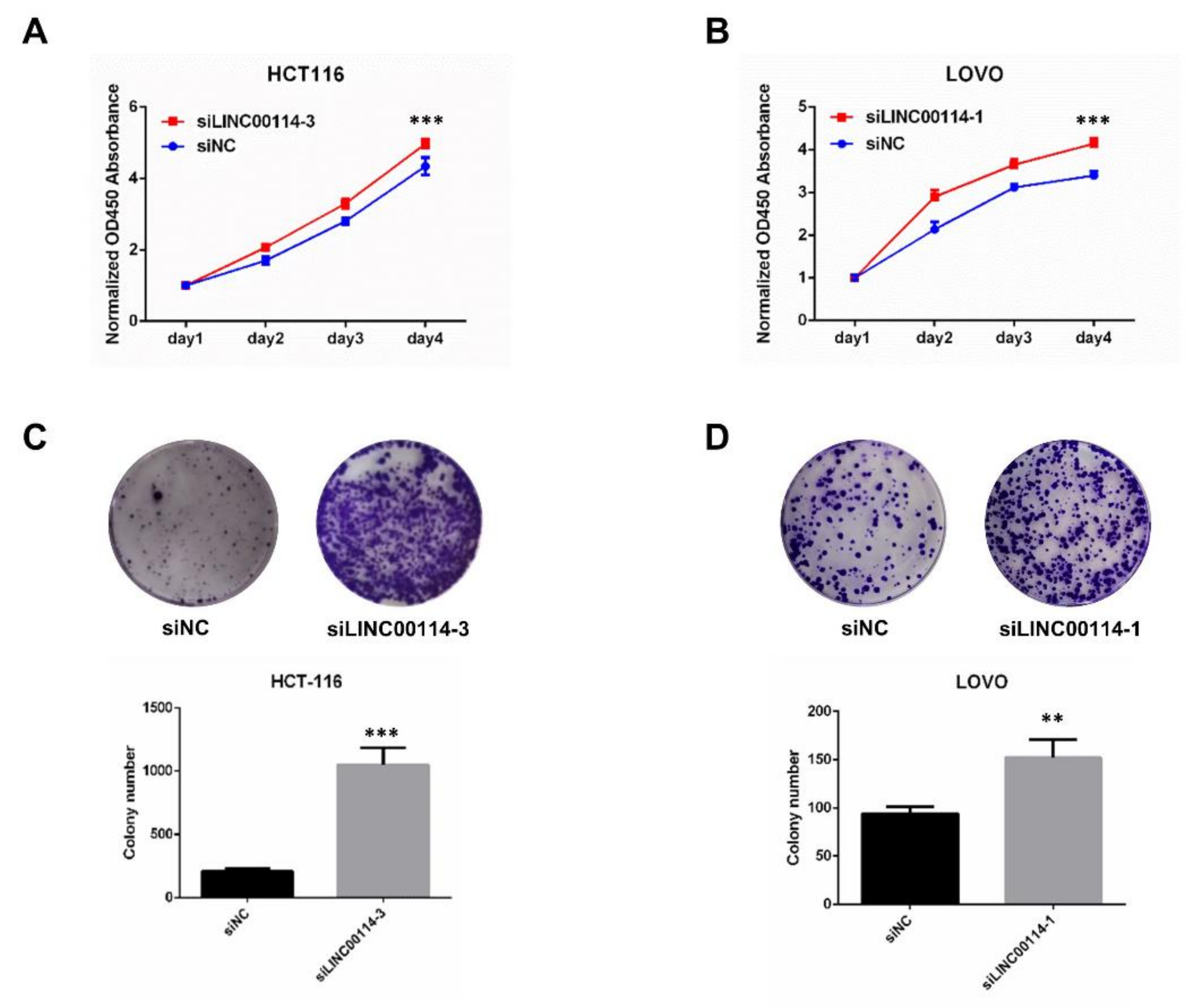 Ijms 21 09359 g008 Ijms 21 09359 g008