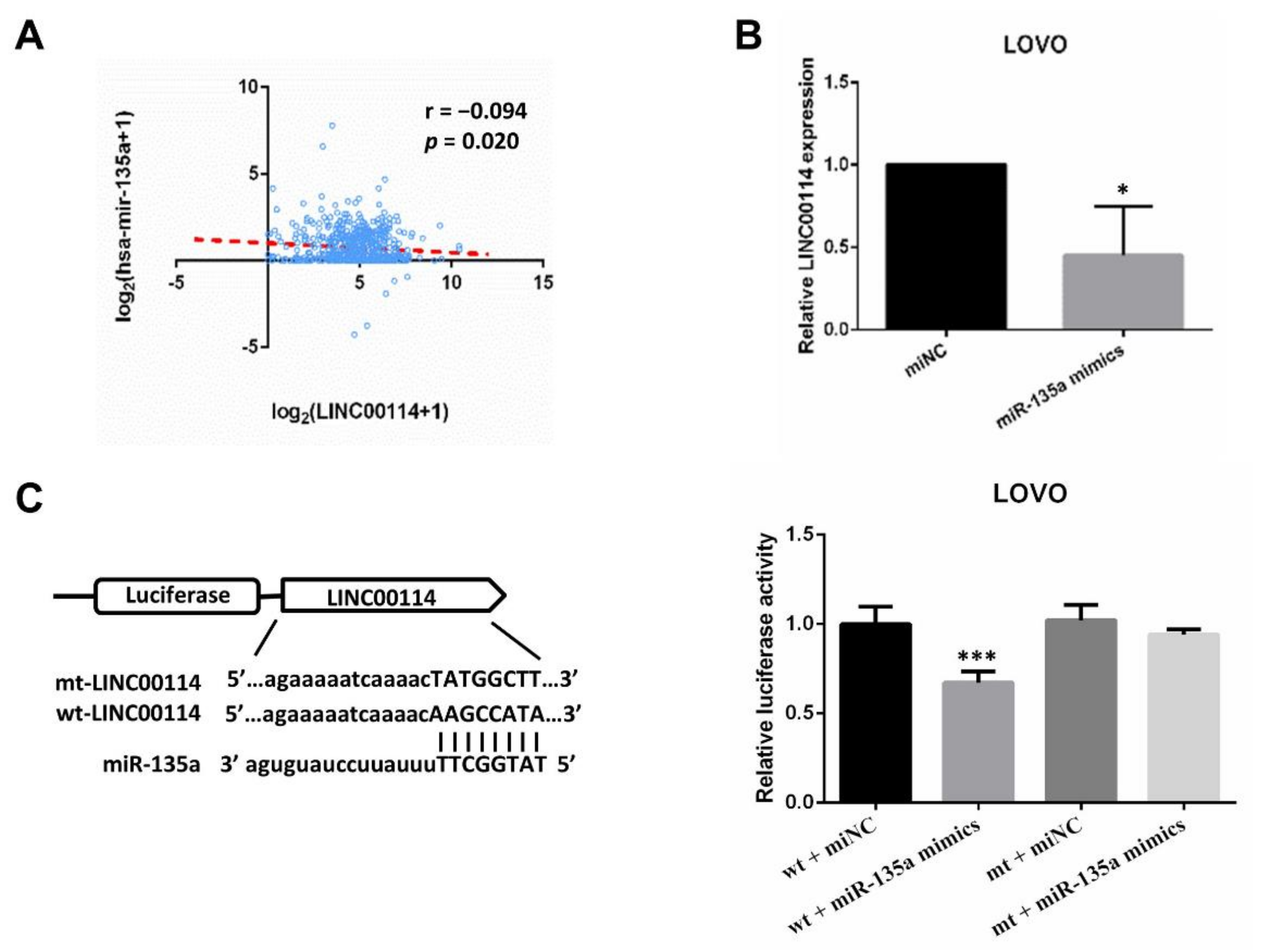Ijms 21 09359 g009 Ijms 21 09359 g009