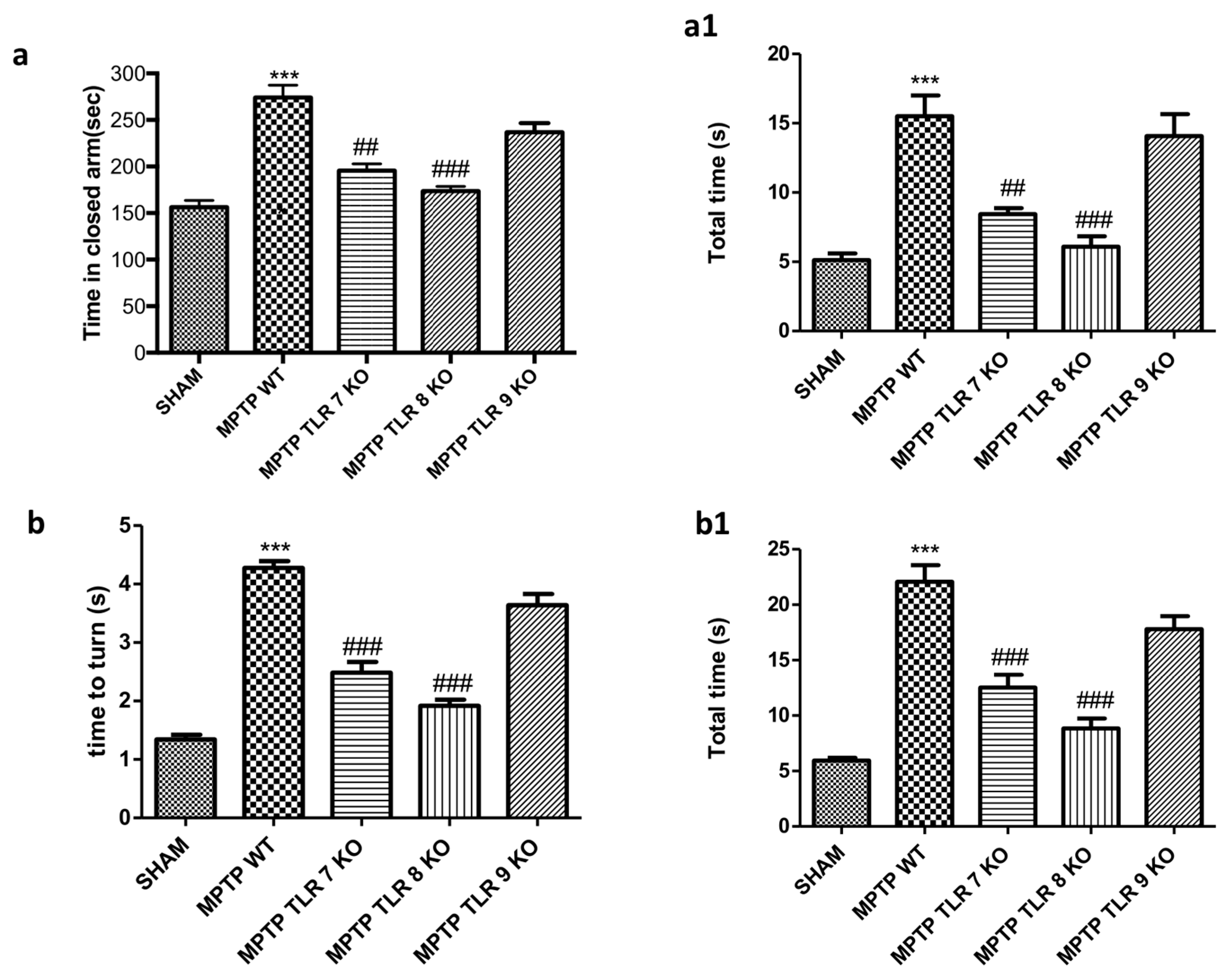 Ijms 21 09384 g002 Ijms 21 09384 g002