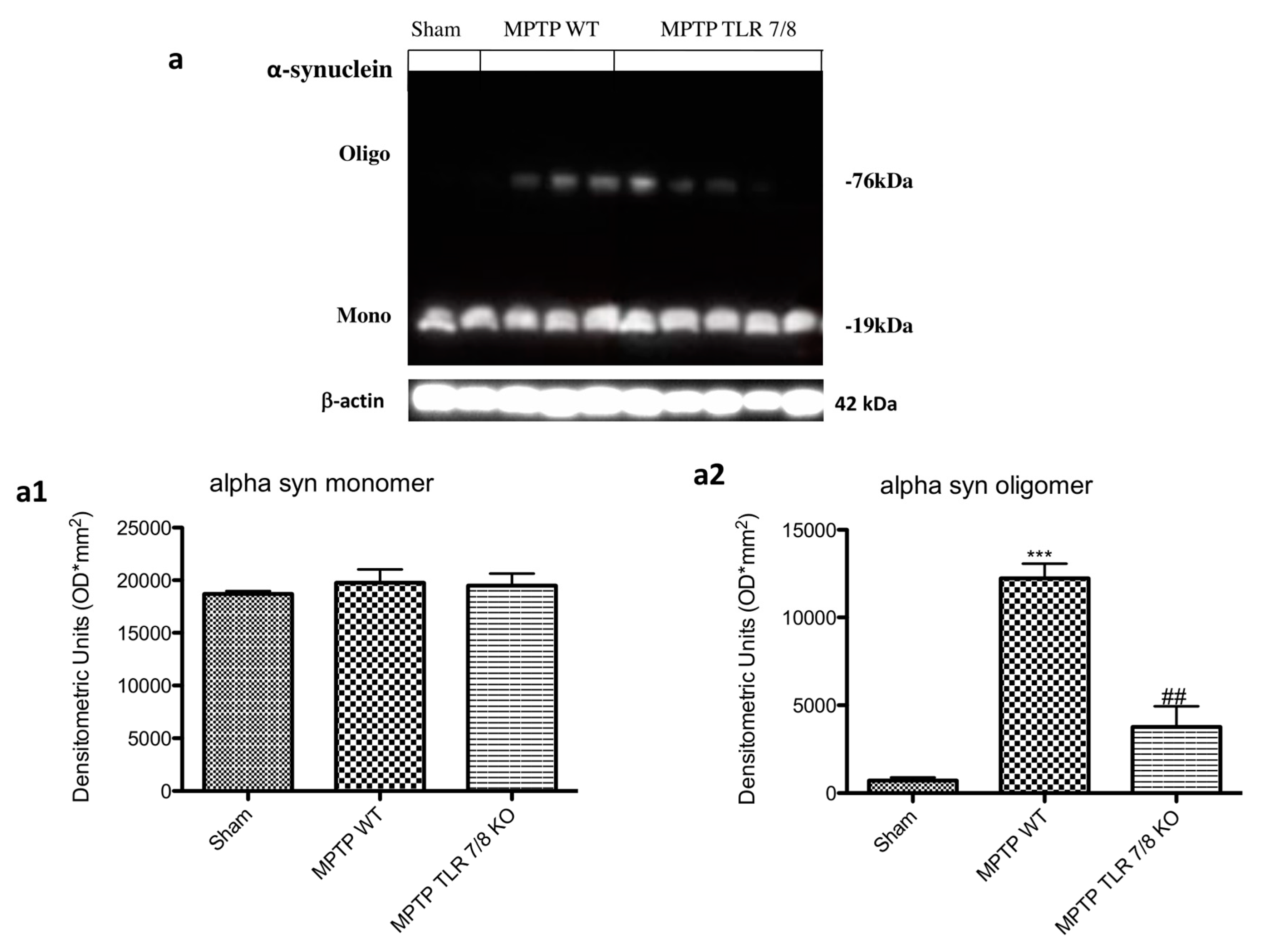 Ijms 21 09384 g008 Ijms 21 09384 g008