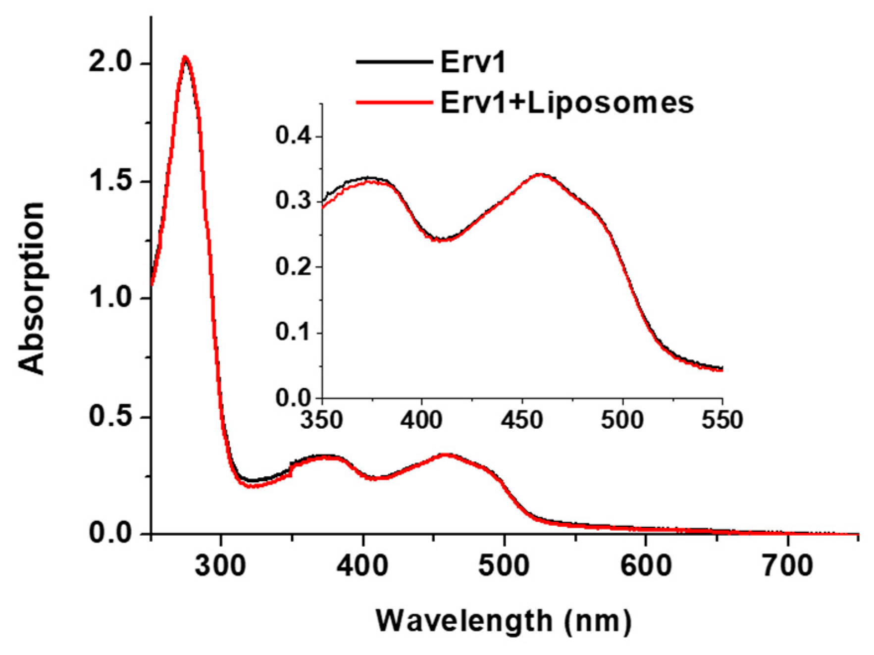 Ijms 21 09402 g003 Ijms 21 09402 g003