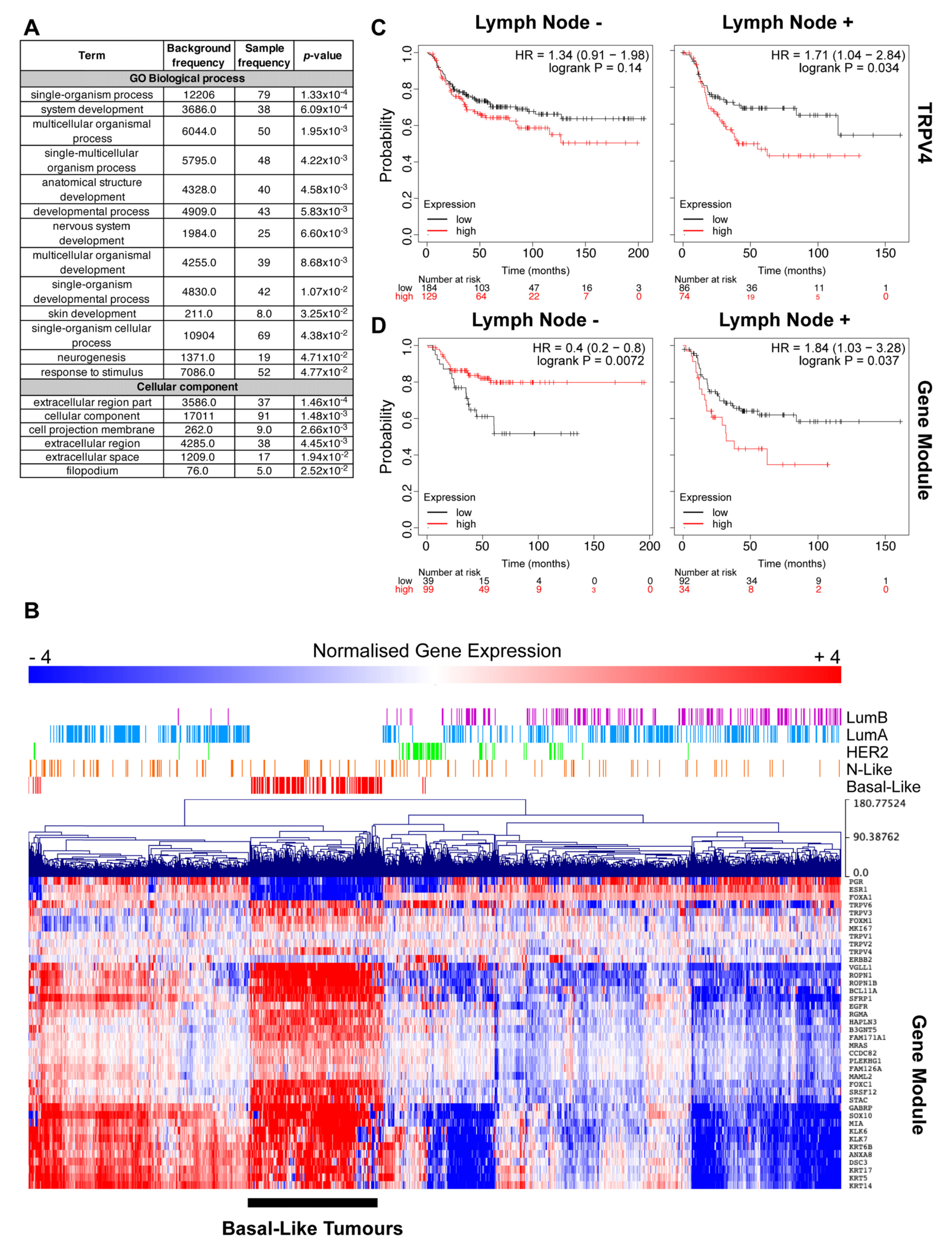Ijms 21 09417 g001 Ijms 21 09417 g001