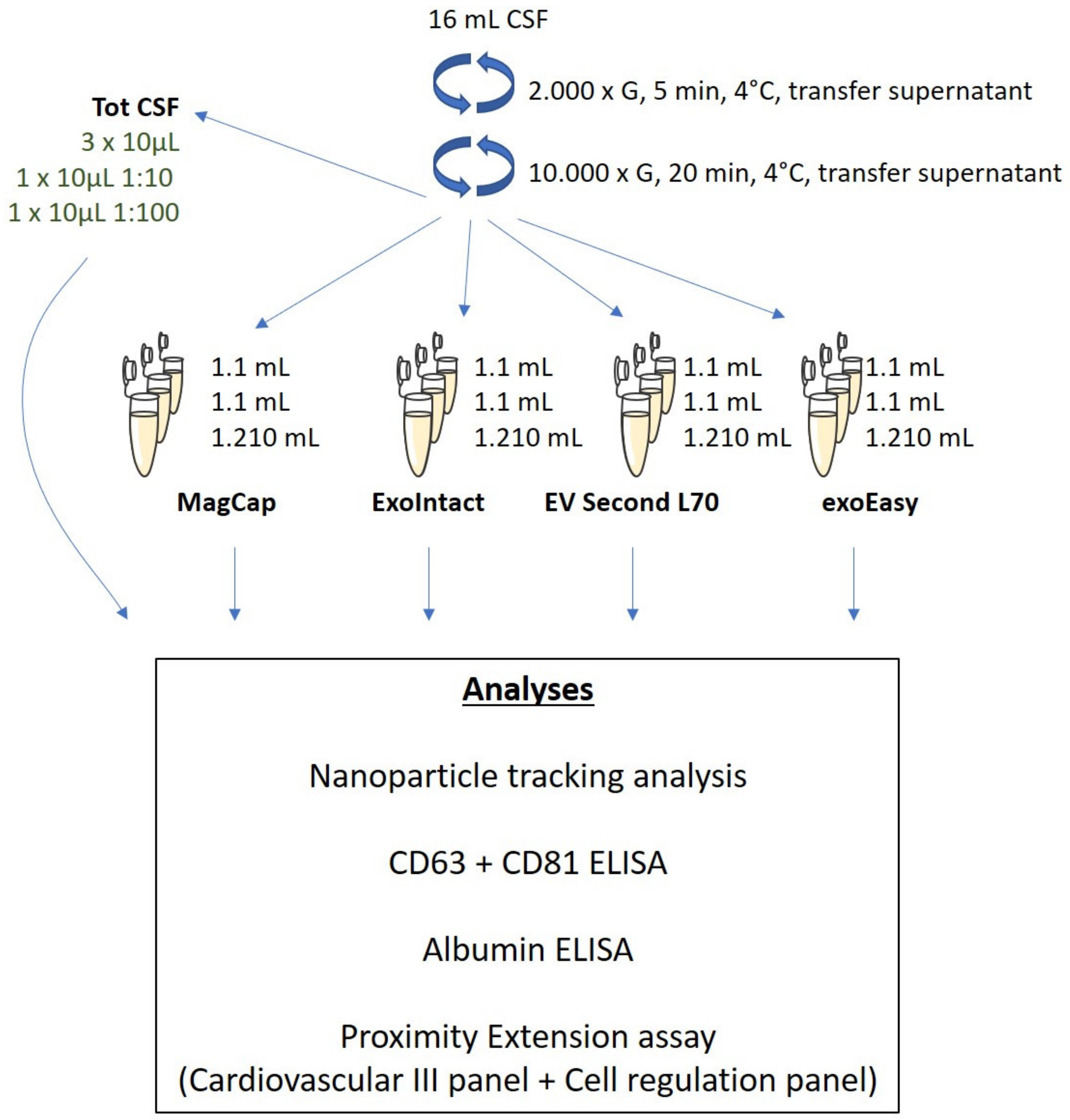 IJMS | Free Full-Text | Analysis of Cerebrospinal Fluid Extracellular  Vesicles by Proximity Extension Assay: A Comparative Study of Four  Isolation Kits