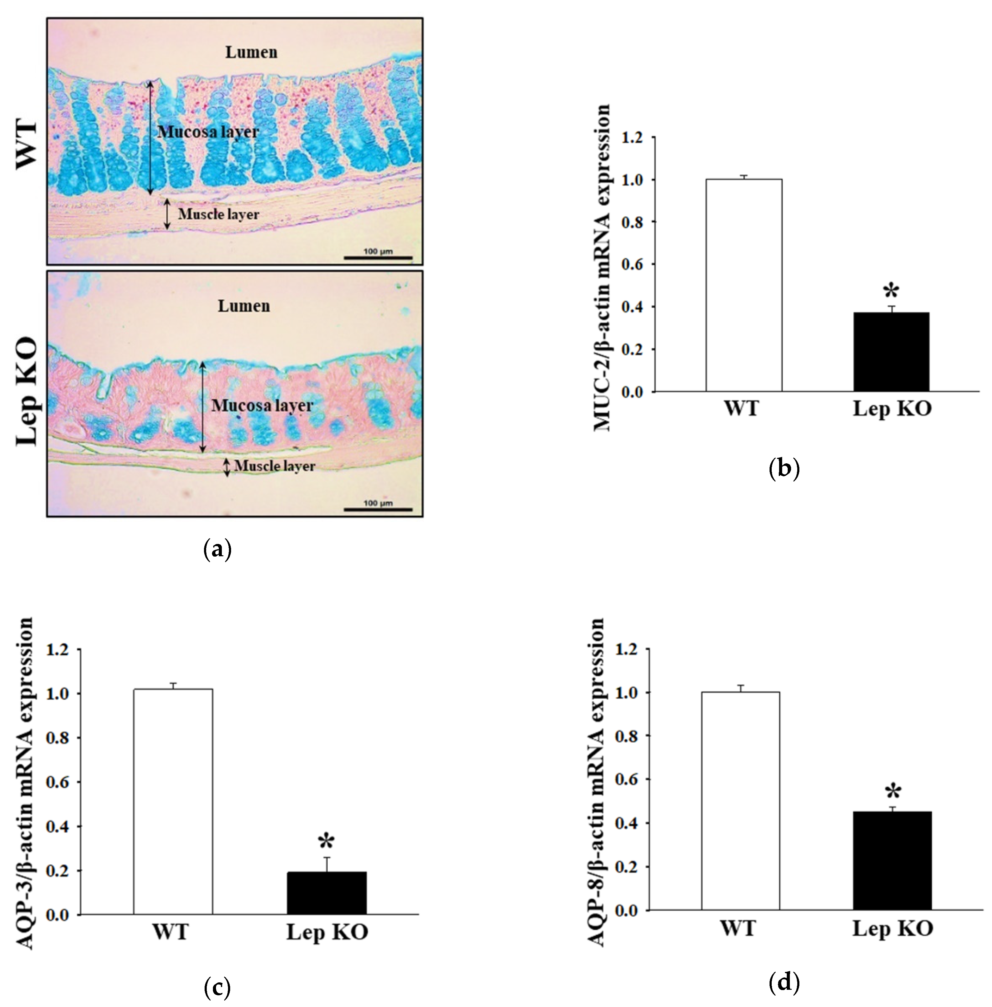 Ijms 21 09464 g005 Ijms 21 09464 g005