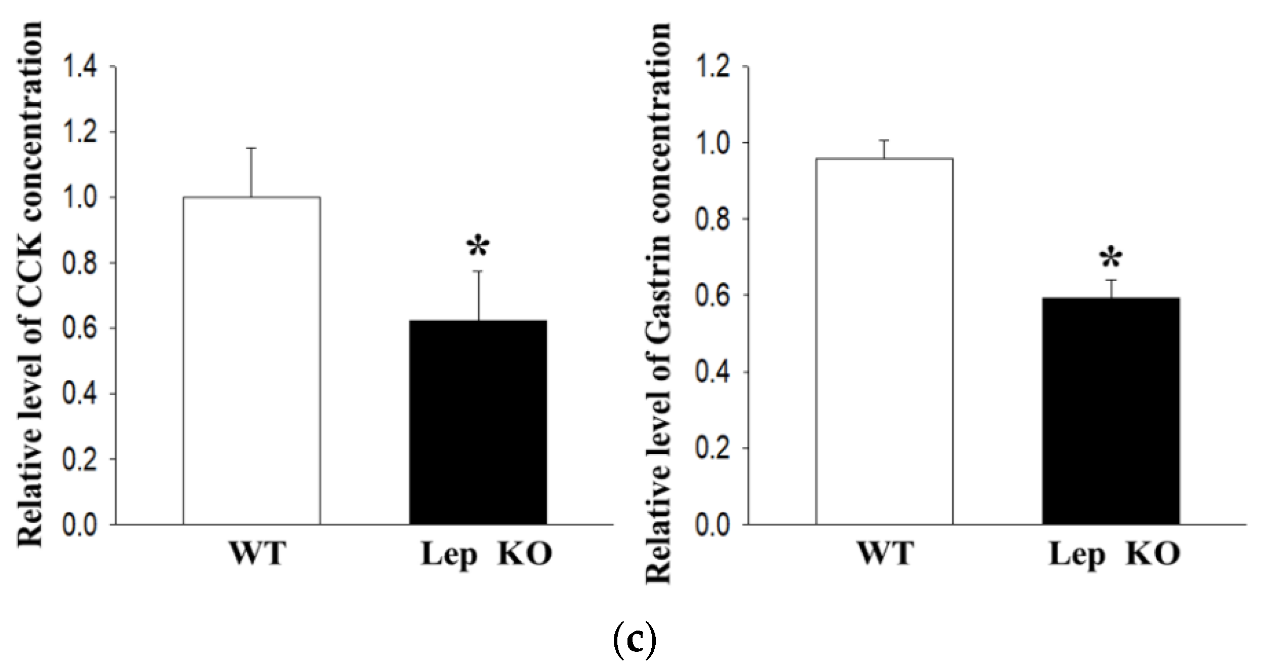 Ijms 21 09464 g007b Ijms 21 09464 g007b