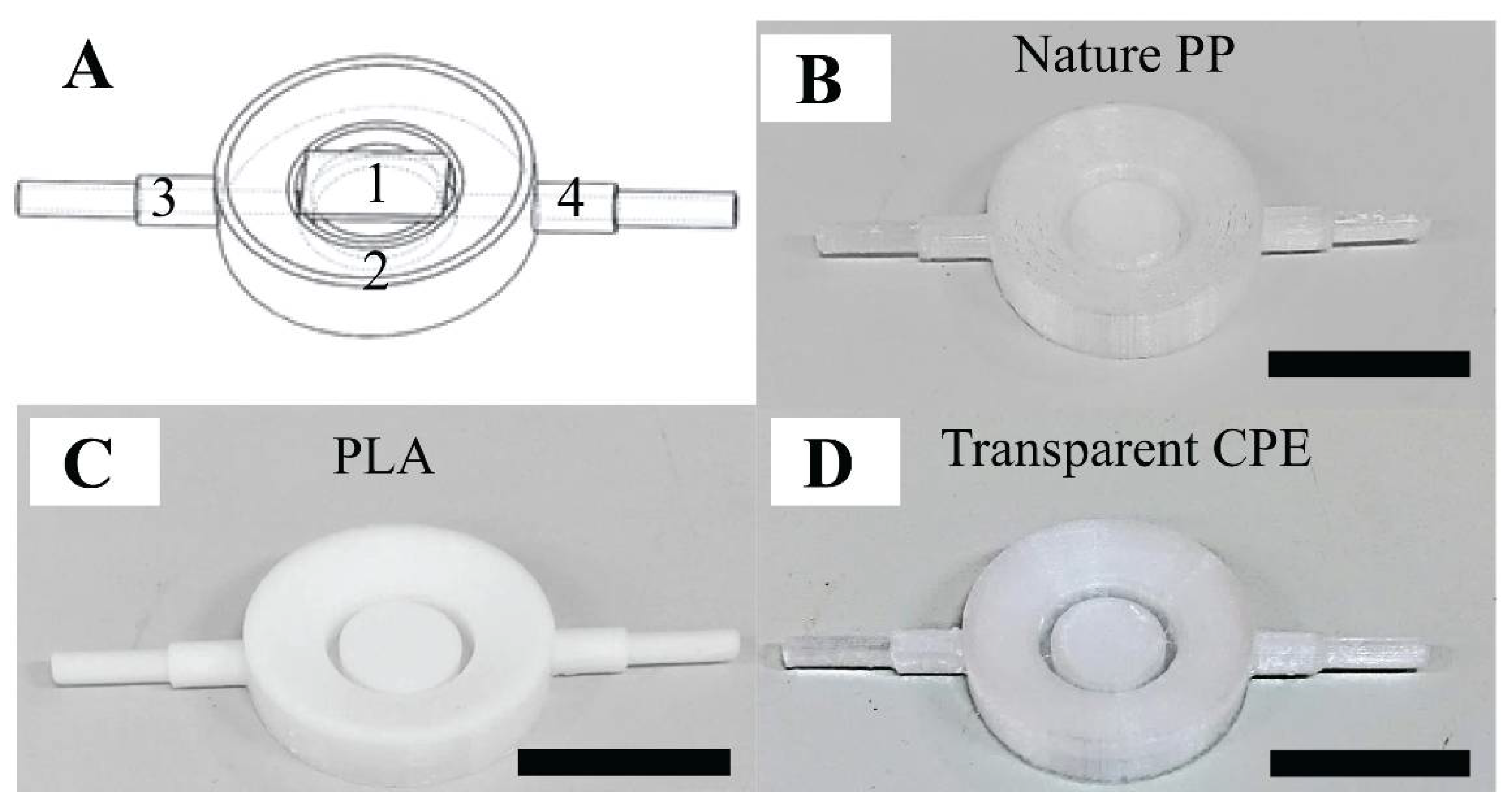 Ijms 21 09481 g001 Ijms 21 09481 g001