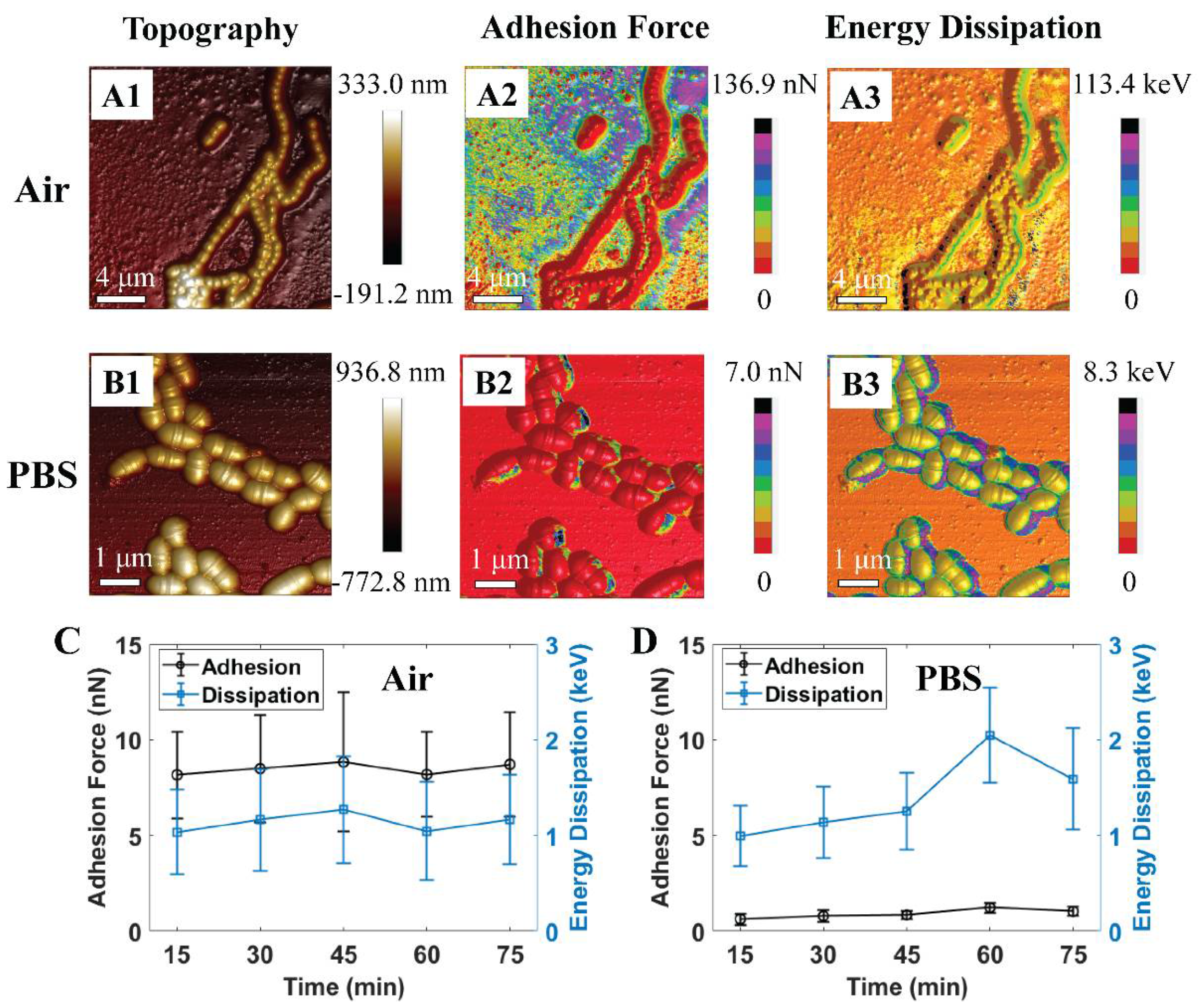 Ijms 21 09481 g002 Ijms 21 09481 g002