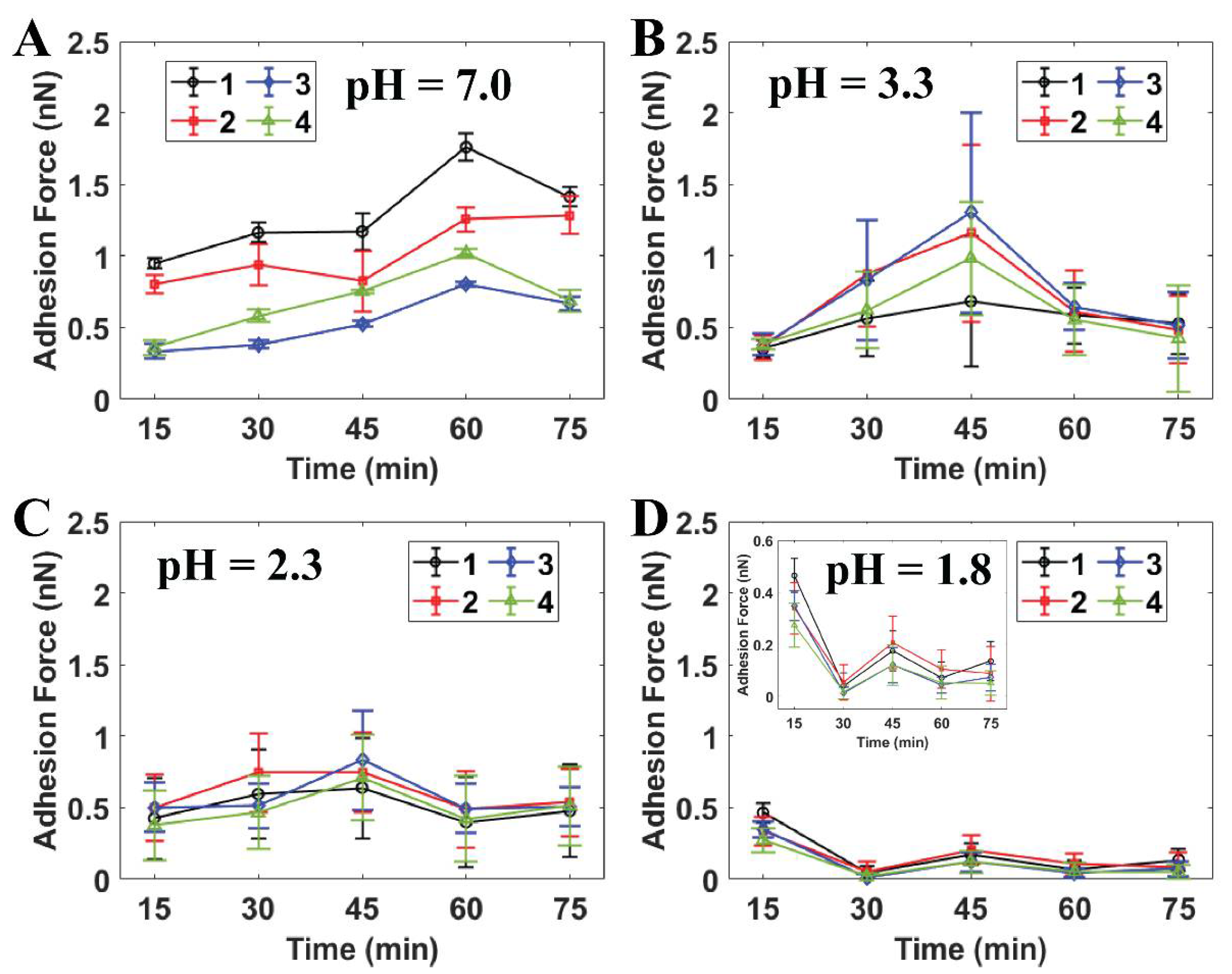 Ijms 21 09481 g004 Ijms 21 09481 g004