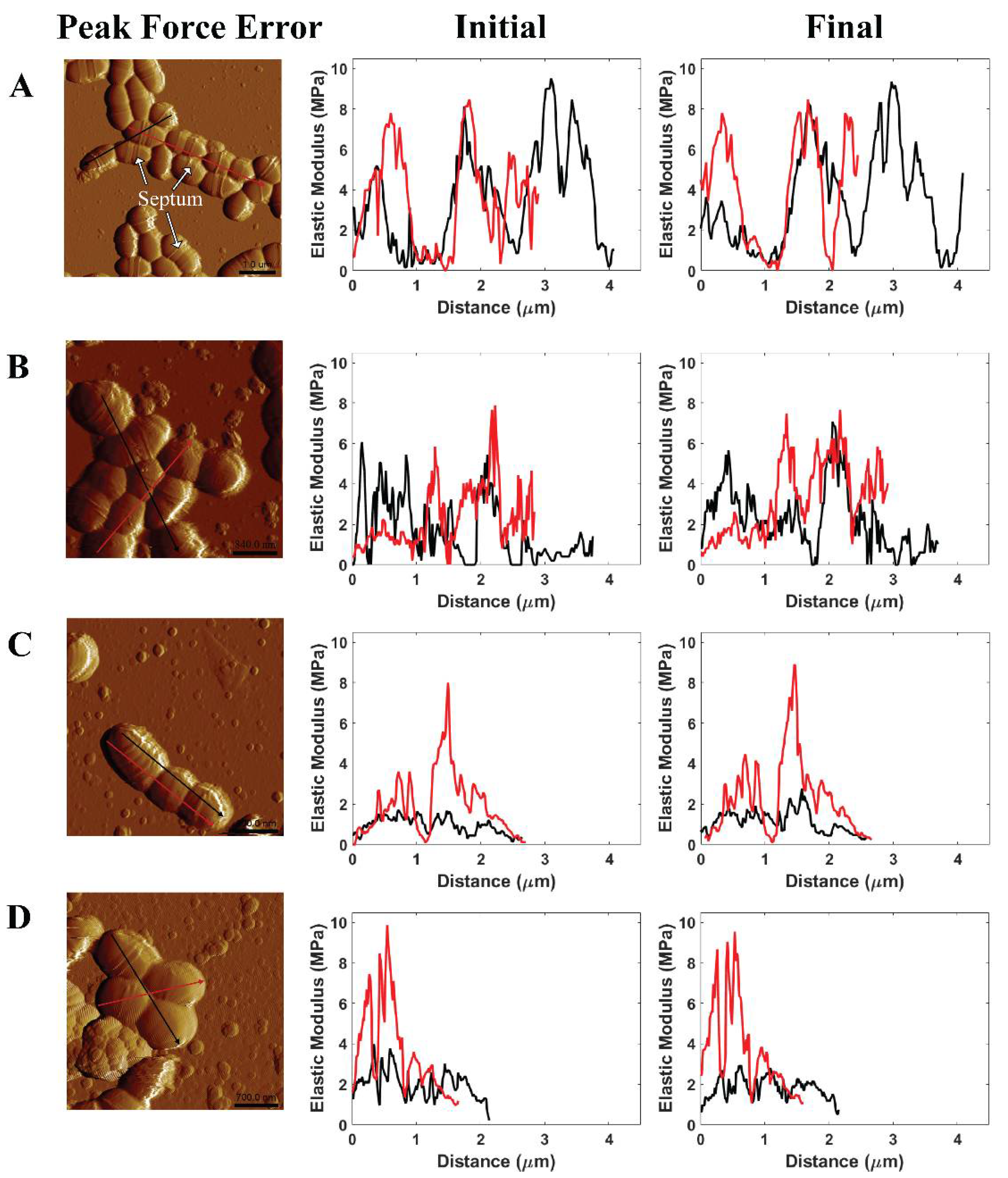 Ijms 21 09481 g006 Ijms 21 09481 g006