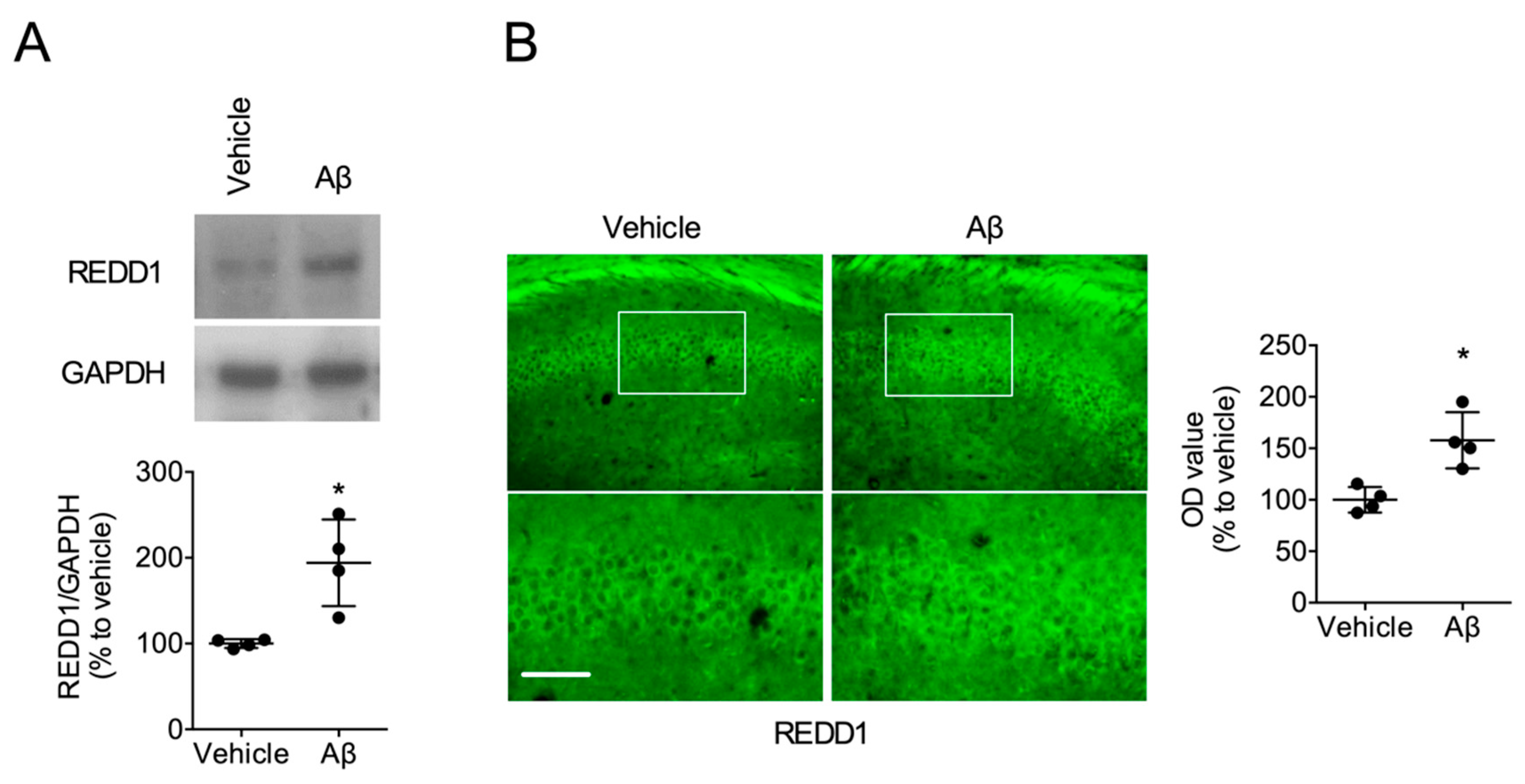 Ijms 21 09482 g001 Ijms 21 09482 g001