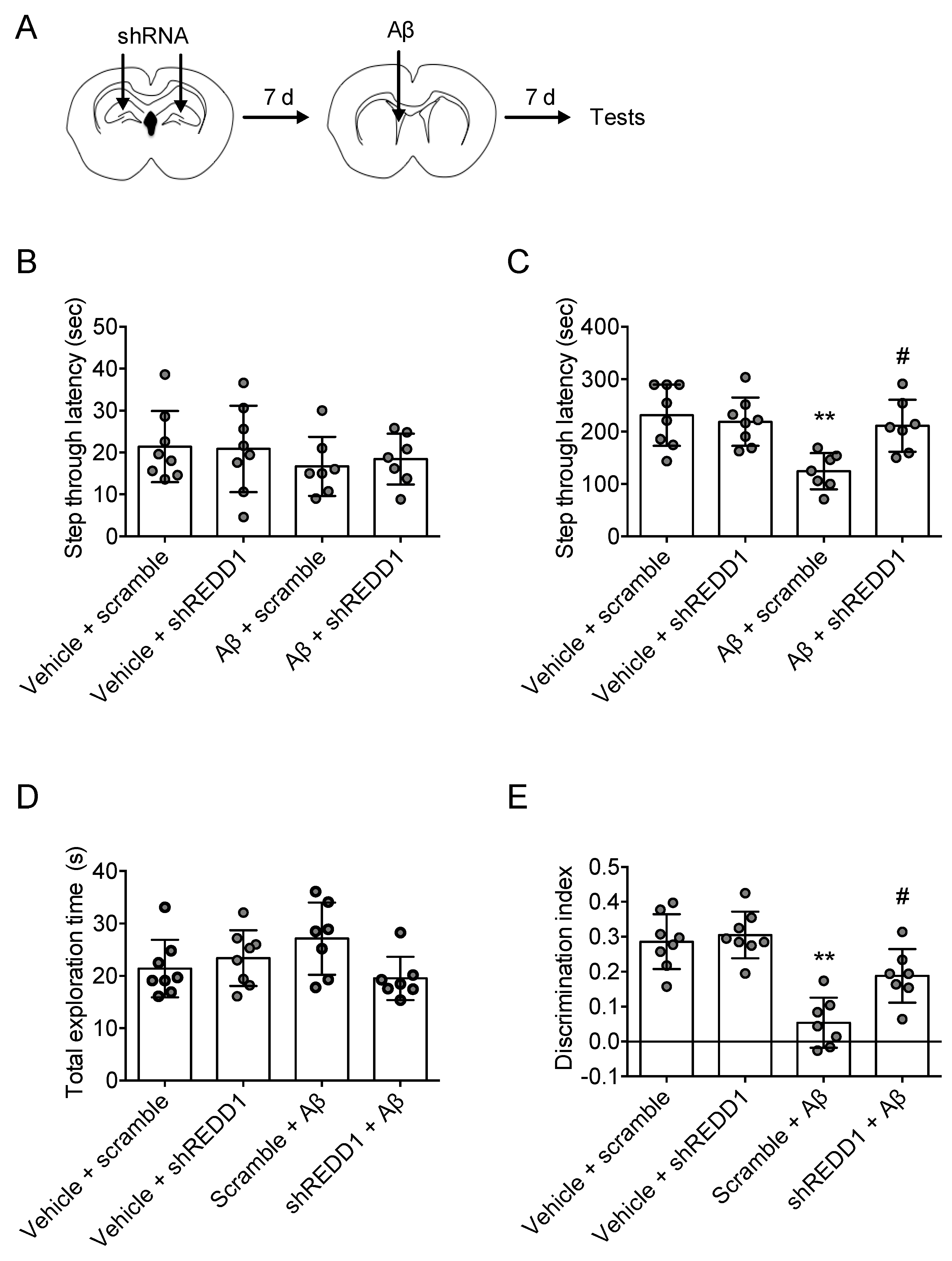 Ijms 21 09482 g004 Ijms 21 09482 g004